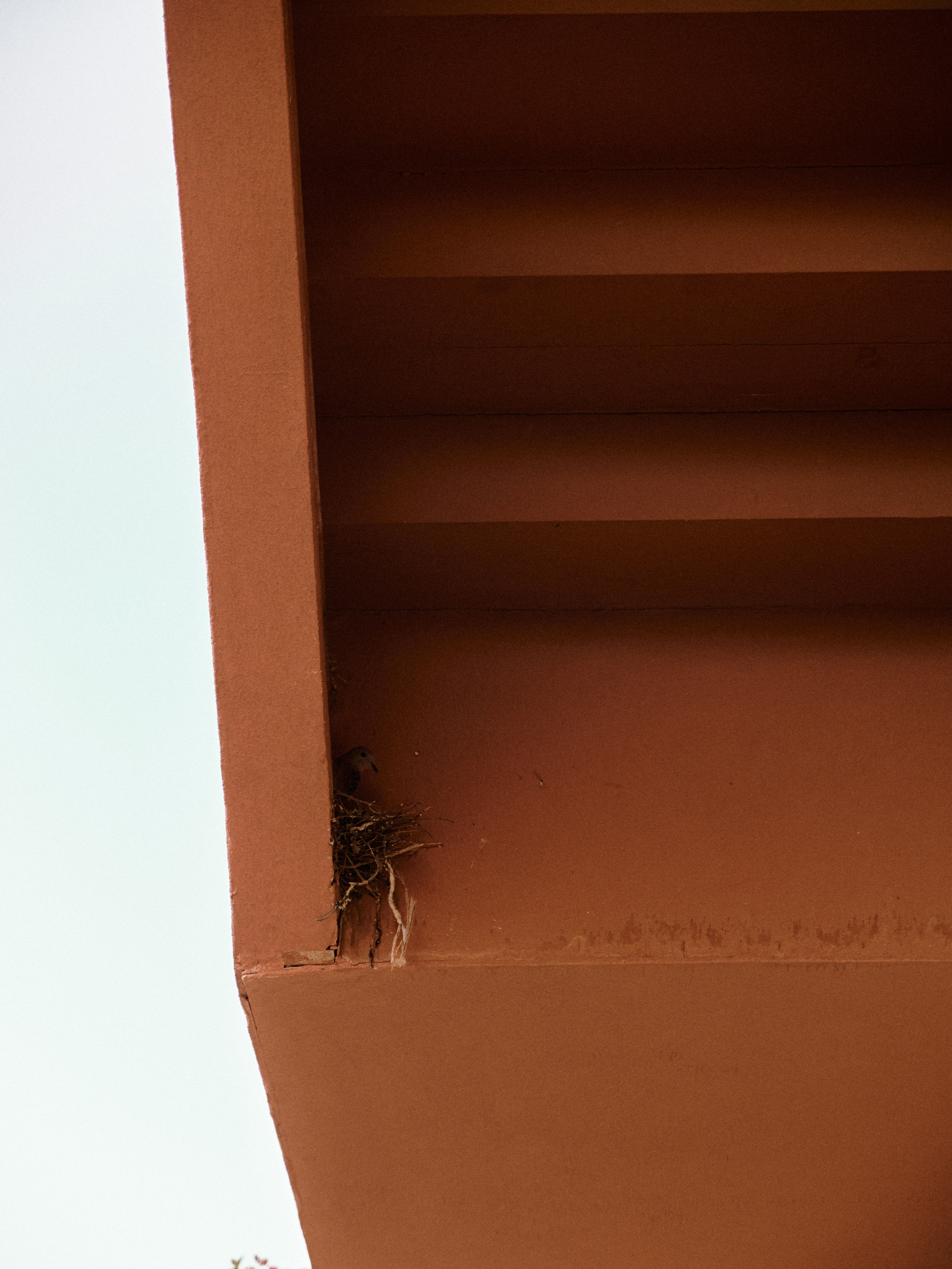 Природа сквозь. Jorgis Talè — photographer, kind person, teacher of arts and other mag