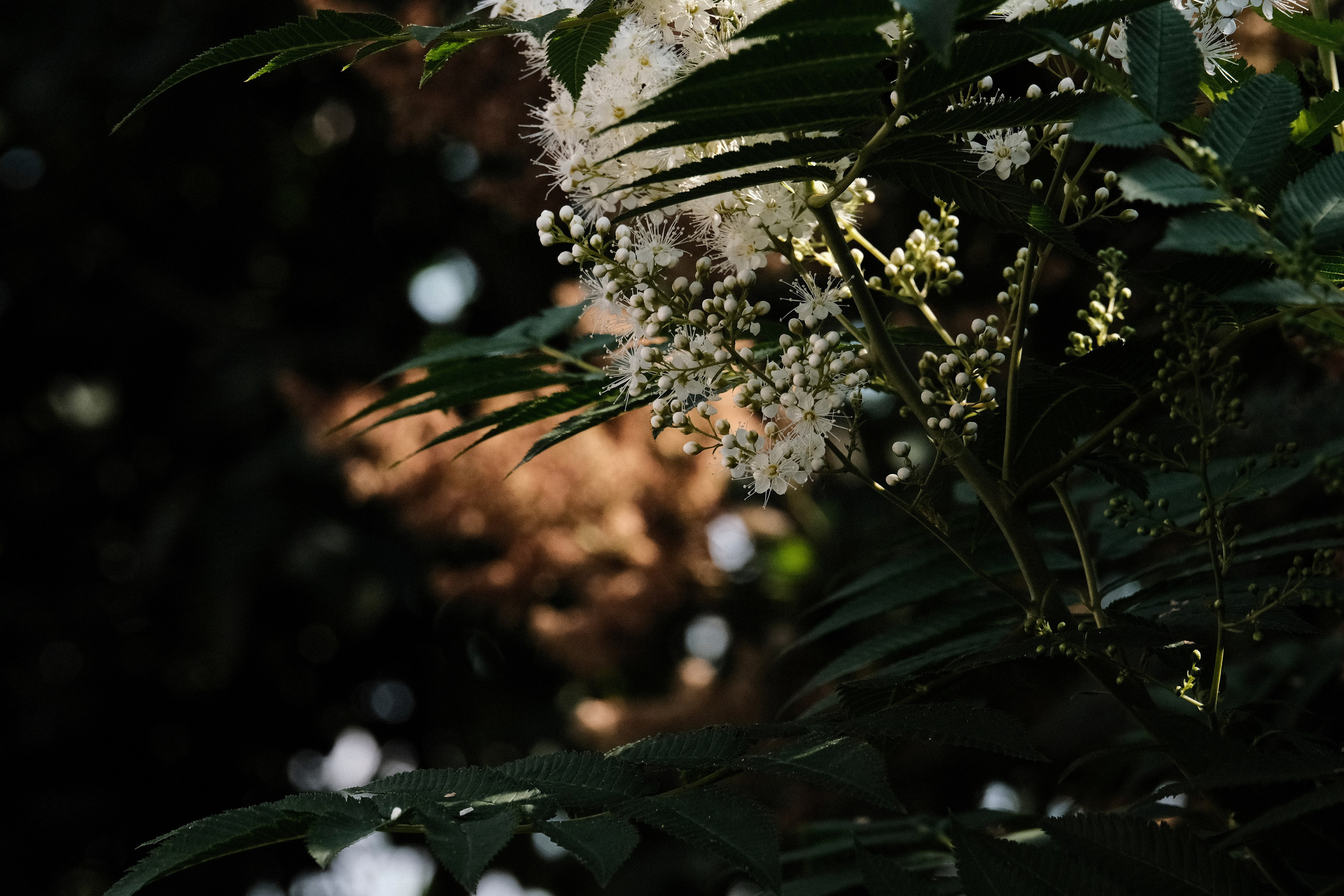 Пейзажи. Фотограф-любитель из Кирова Андрей Погребняк