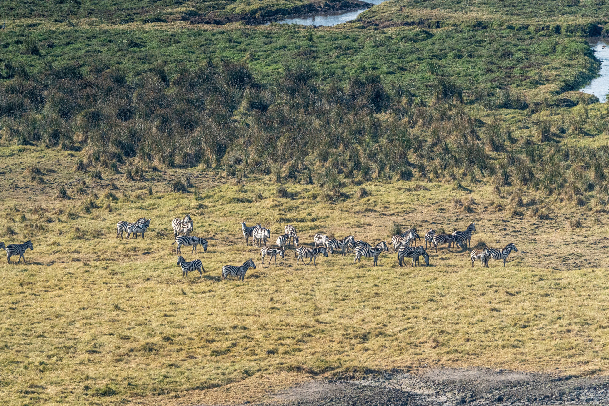 Танзания, сафари, 2025. Творческие сьемки