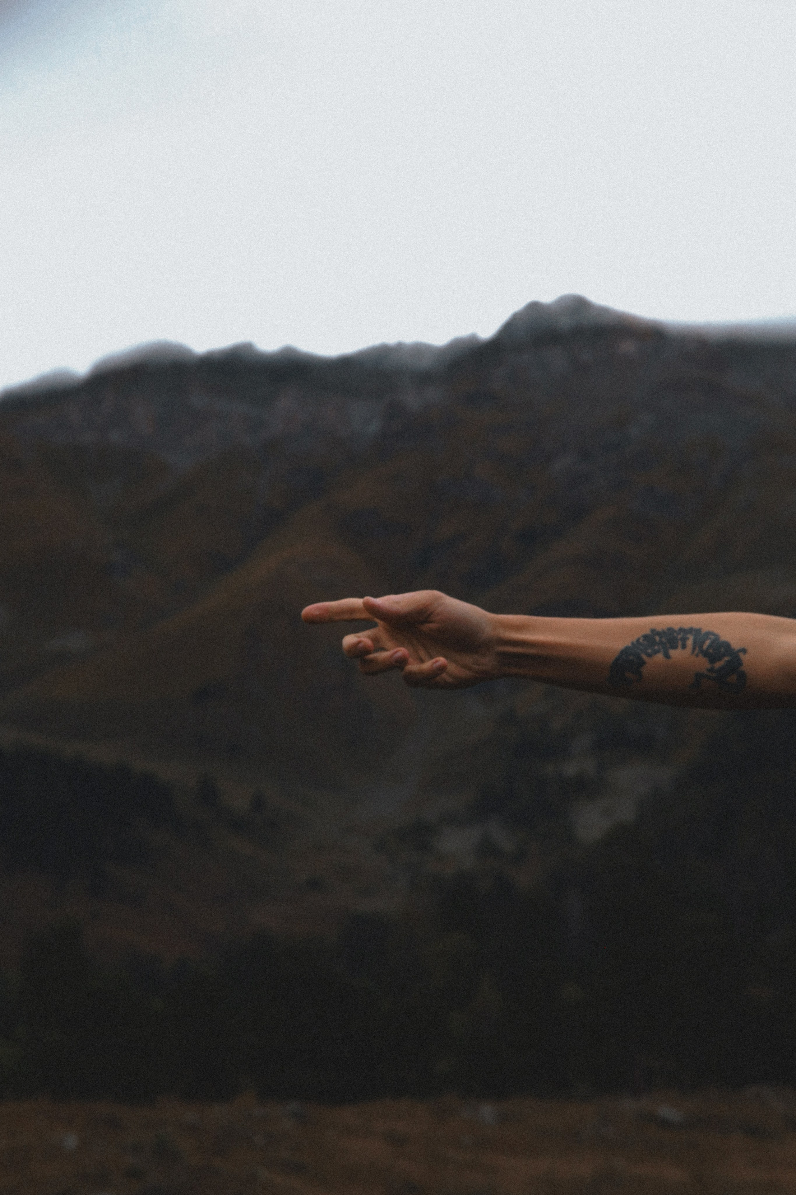 Danya. Главная