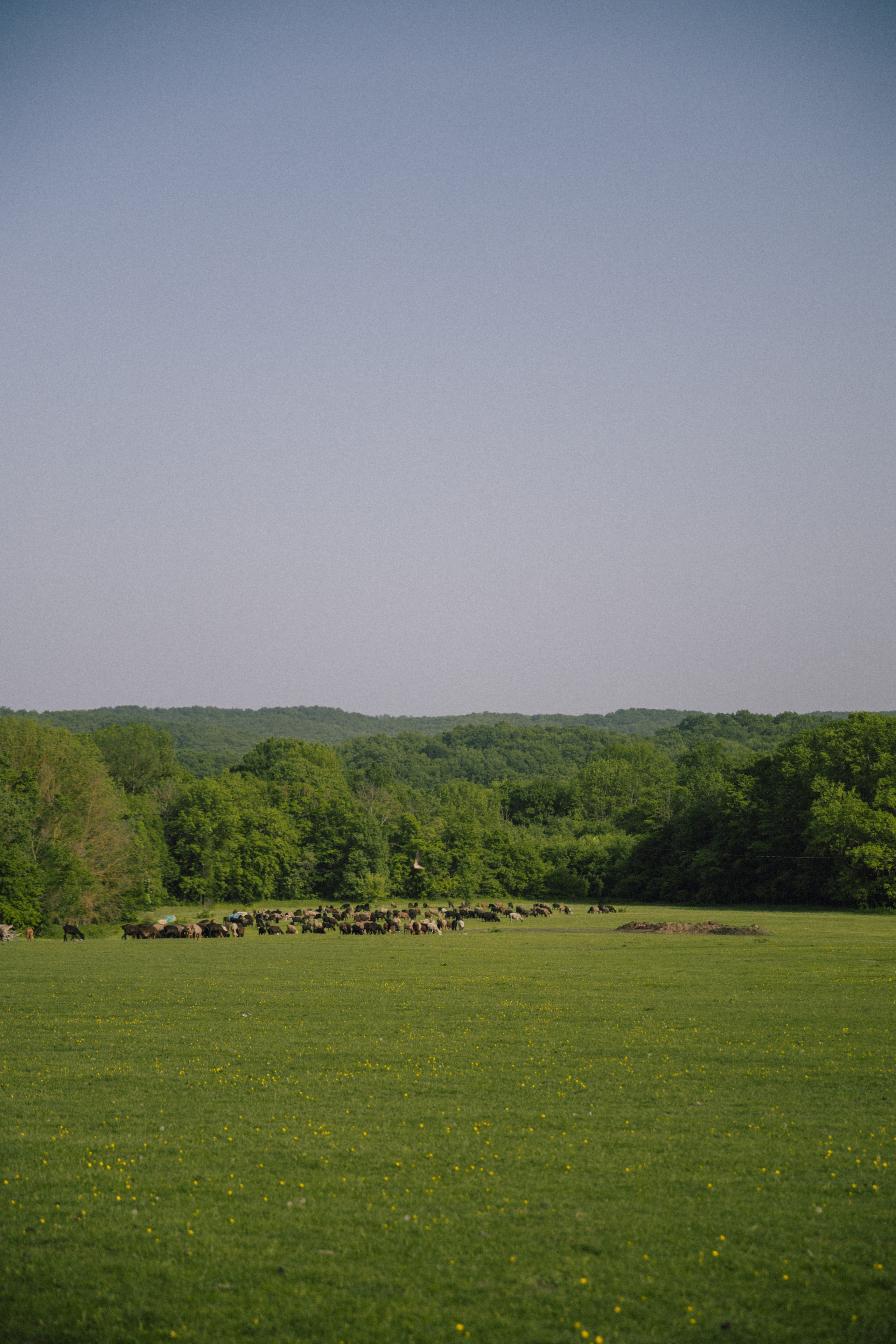 Владимировка. Фотограф Краснодар Юлия Бураченко Свадьбы Репортаж Семейные Индивидуальные съемки