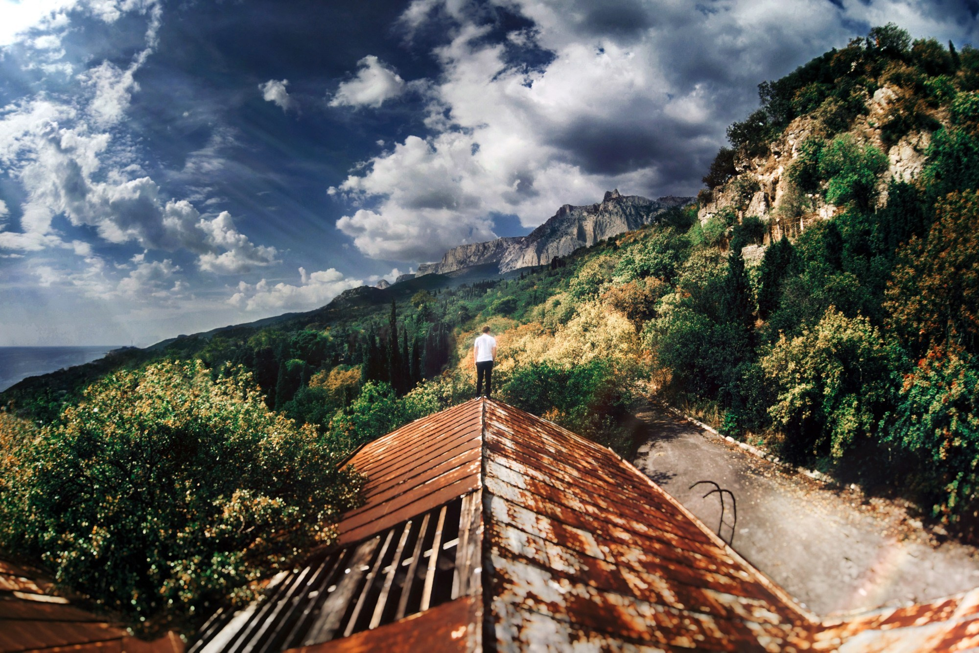 Portfolio. The Andris