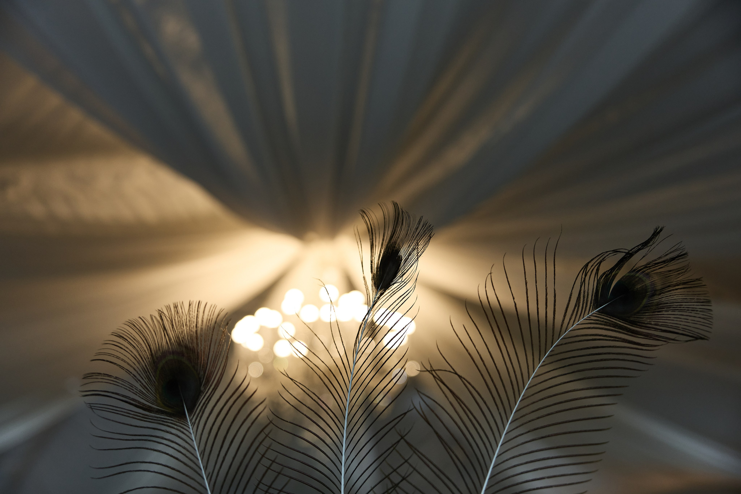 Андрей и Елена. Kharchenkotatianaweddingphoto