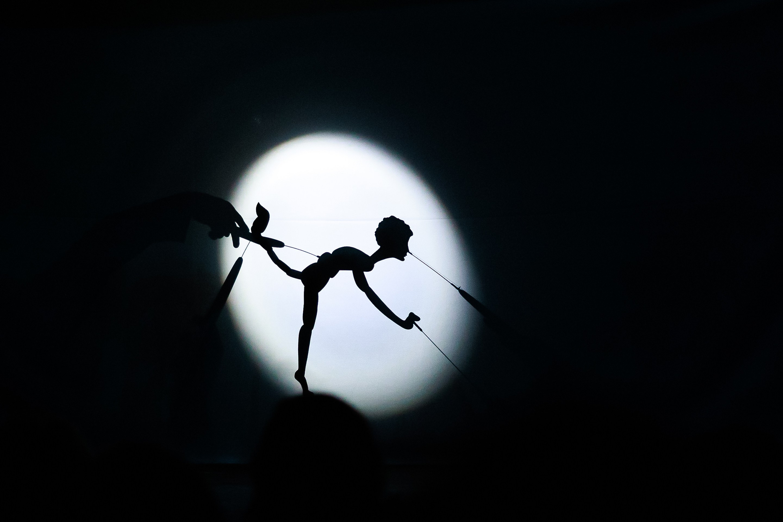 Воронежский театр кукол Шут Спектакль Граф Нулин