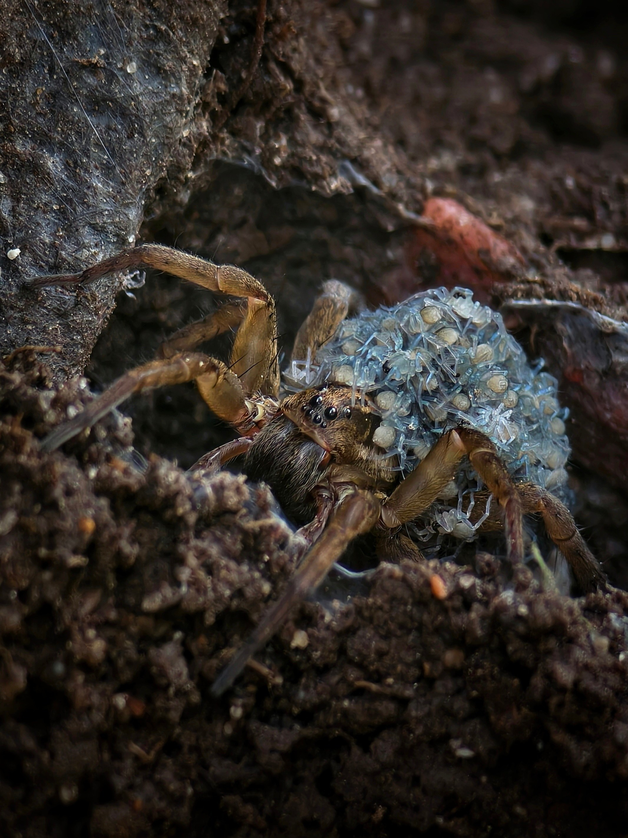 Большое в малом