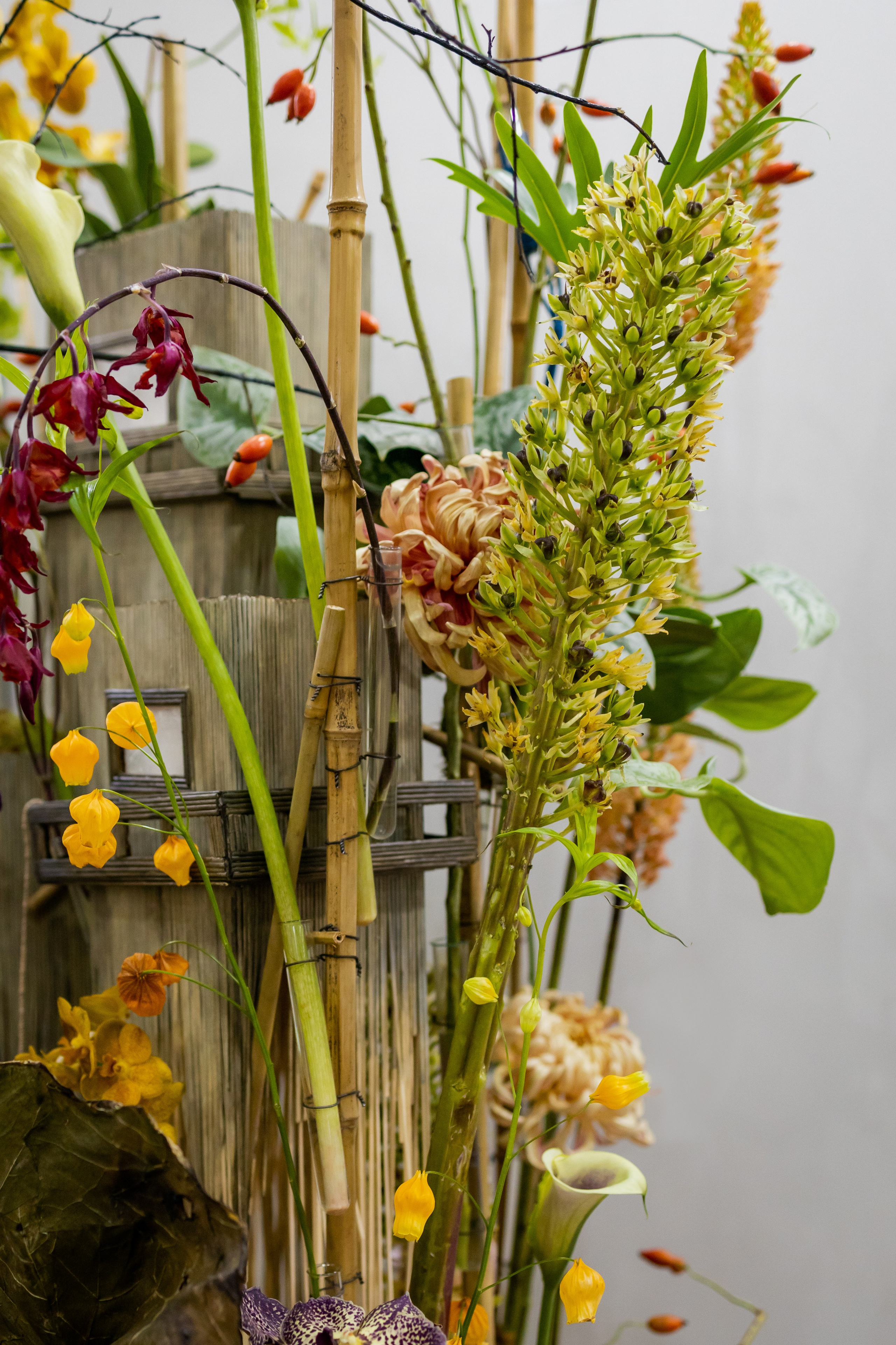 Цветы-Экспо 2025. Фотосессии и репортаж — Фотограф в Москве — Рина Серёгина