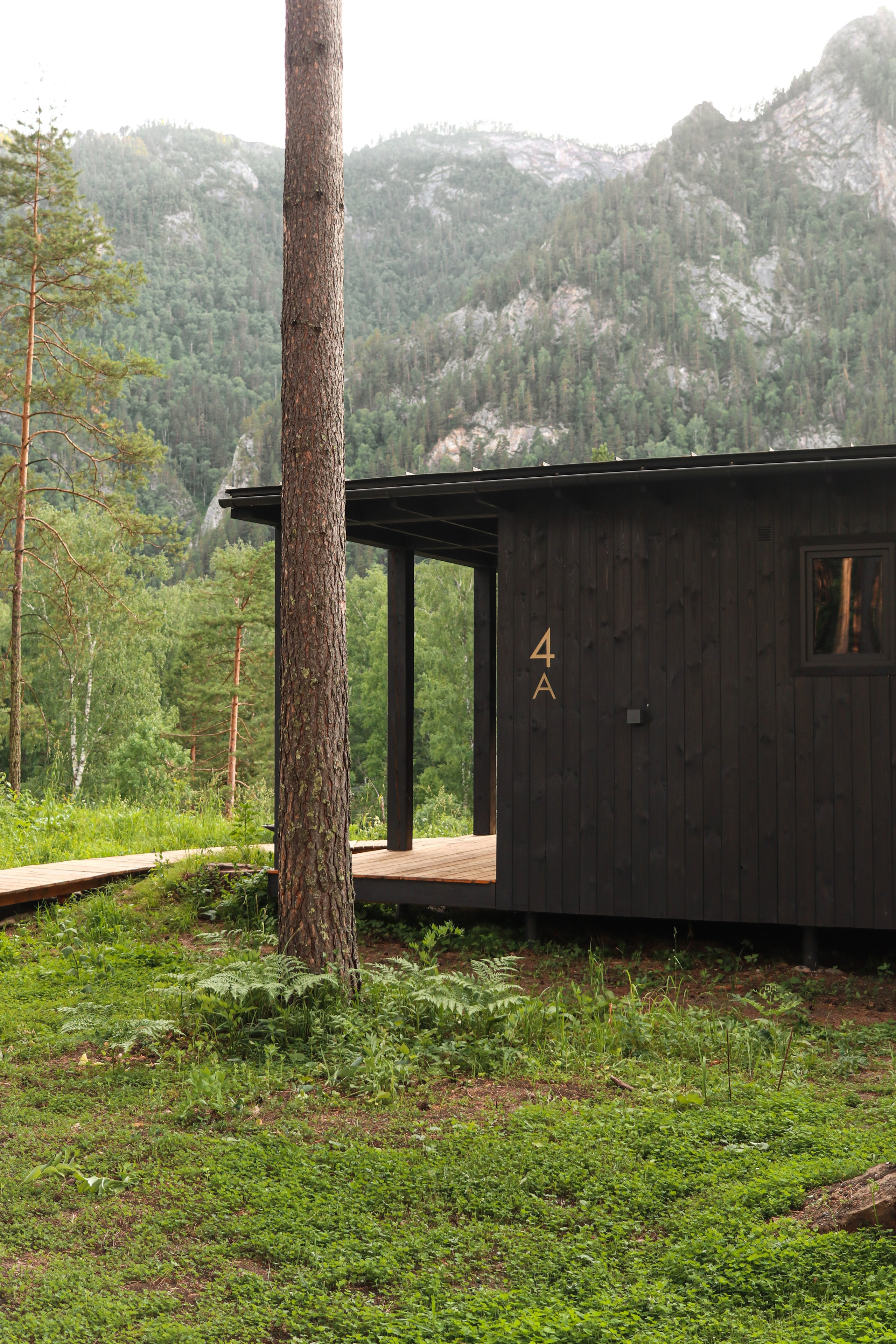 «Pinewood» парк-отель, респ. Алтай. Контент фотограф Дмитрий Борисов