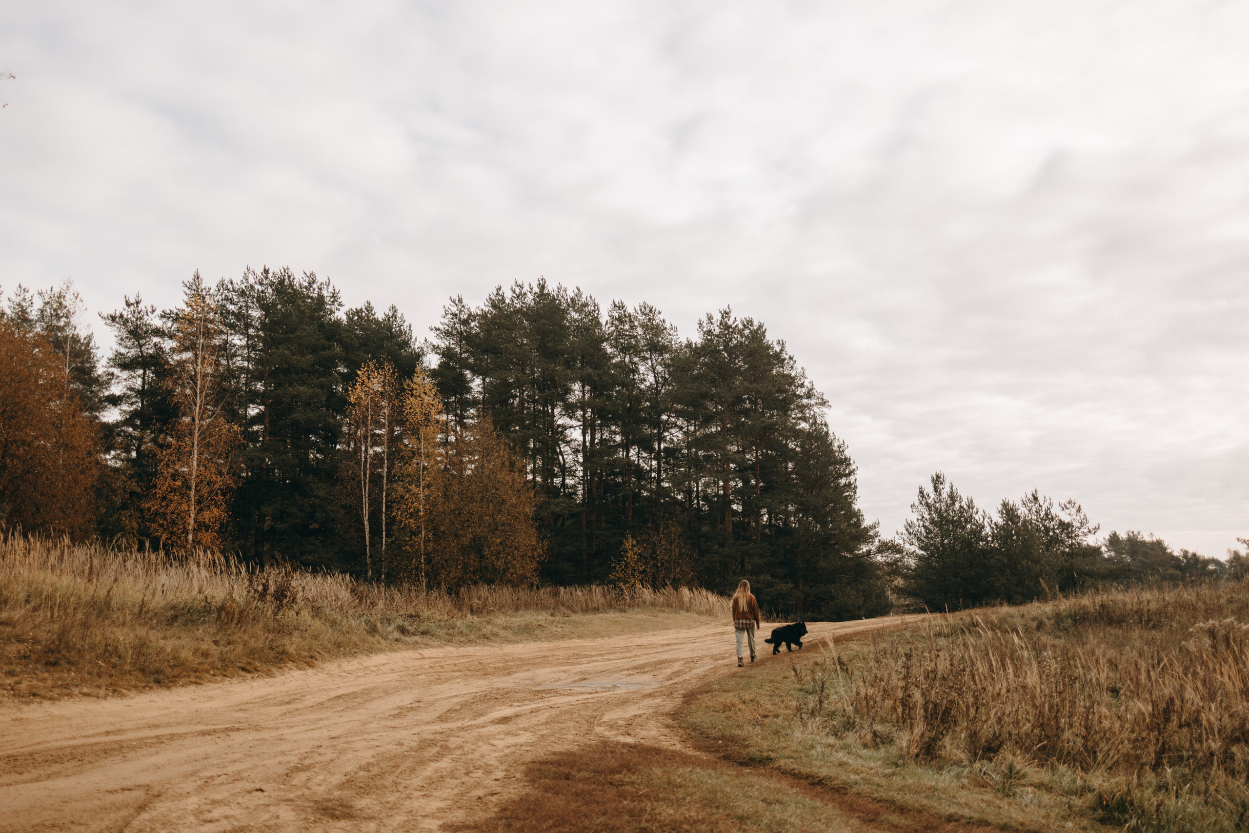 Лора и Джанго. Фотограф — Анималист | Санкт-Петербург