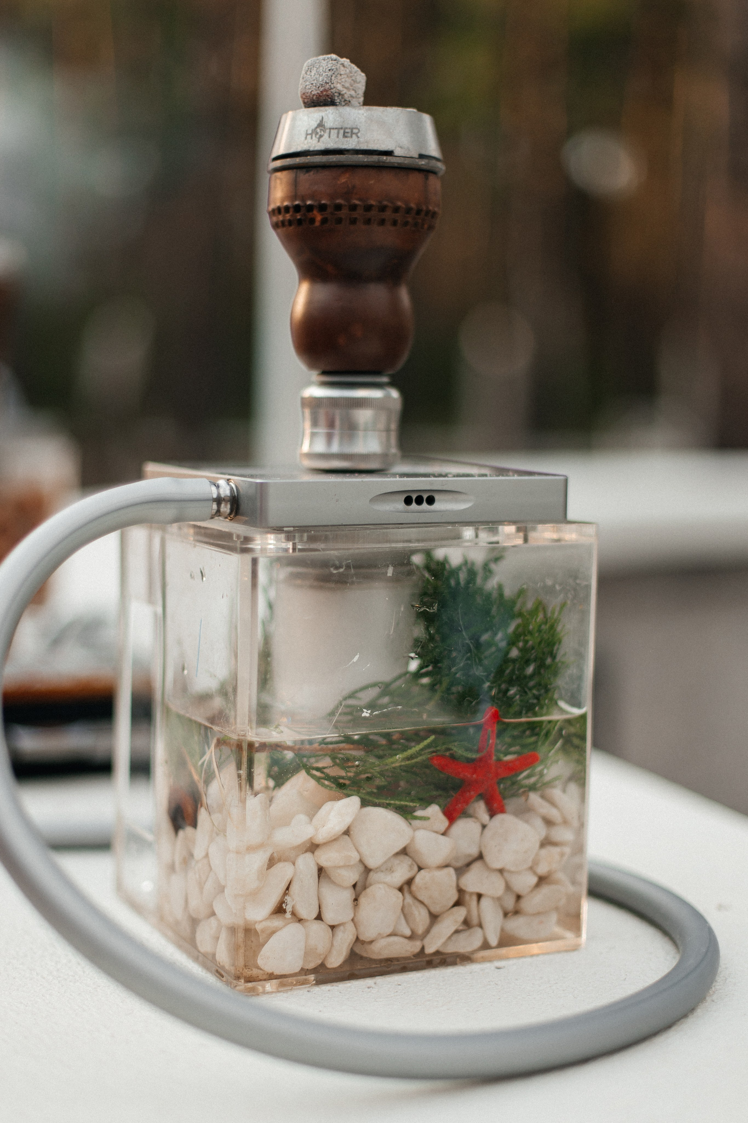 Матвей и Ксения. Свадебный фотограф и видеограф