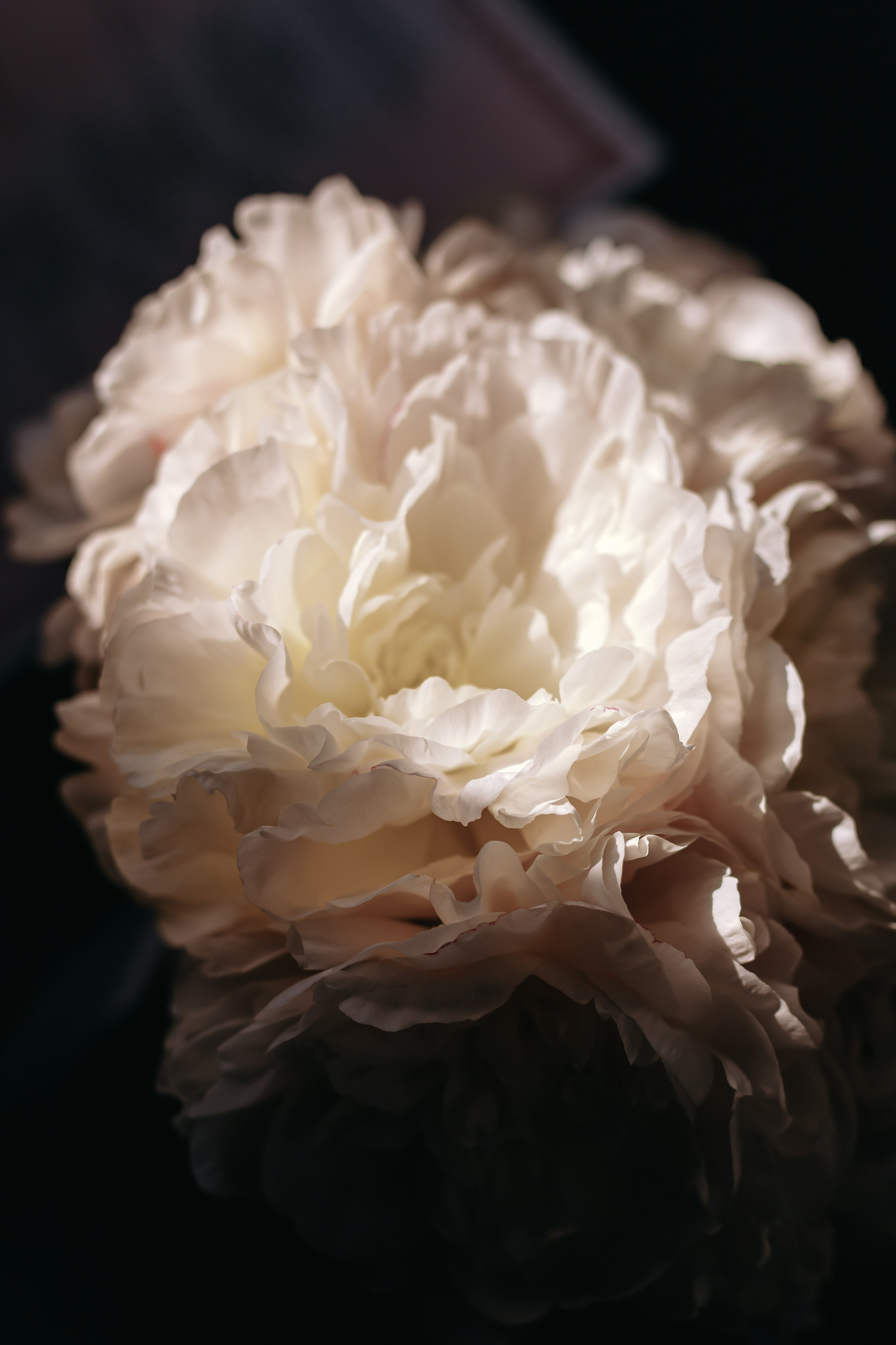 Мы не хотим позировать. Свадебный и семейный фотограф Арина Кулёва