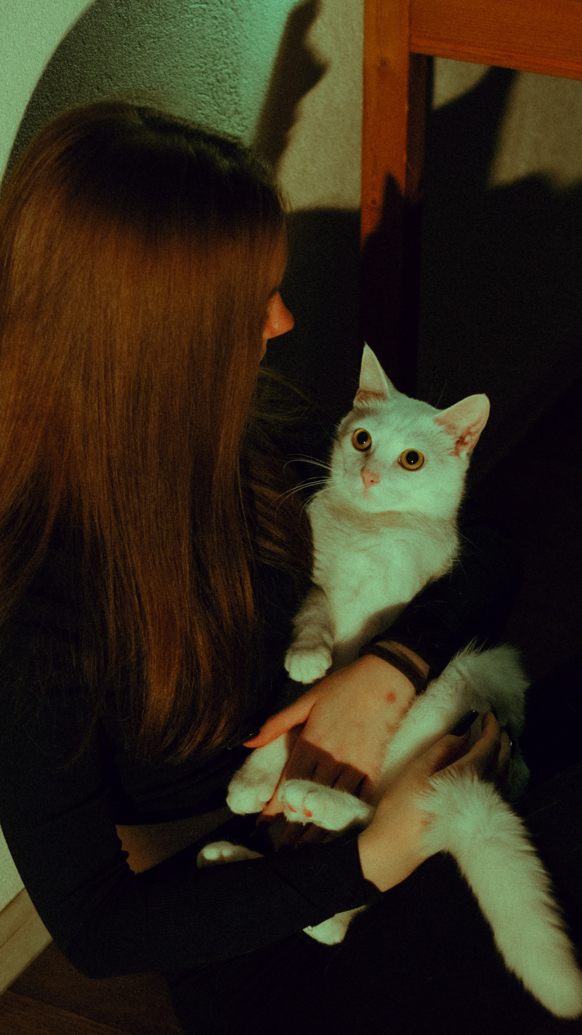 Light. KRIS KRUPINNIKOVA