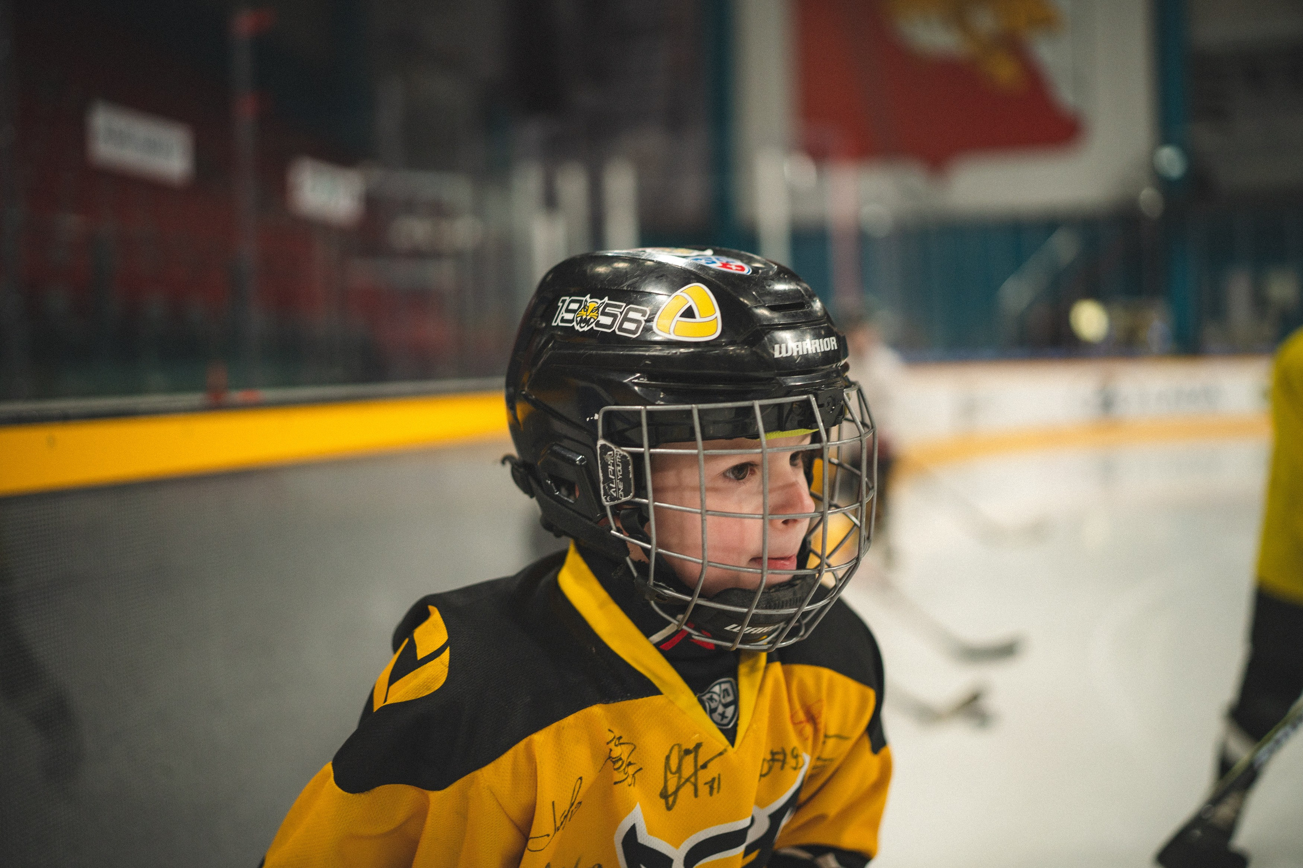 ХК Северсталь (младшая группа). Череповец. Zekons. Фото, видео, нейросети