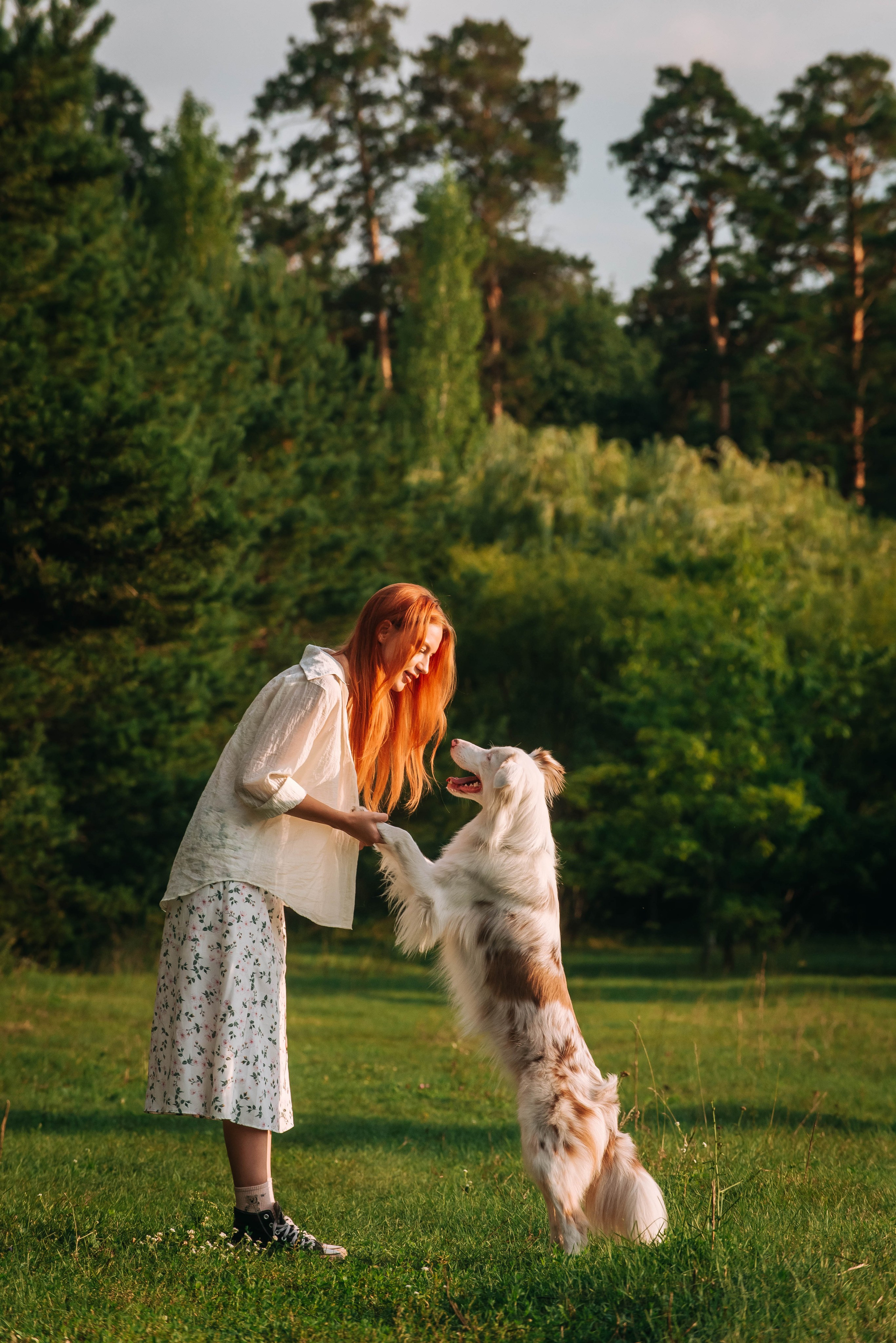 Лиза и Айви. Главная