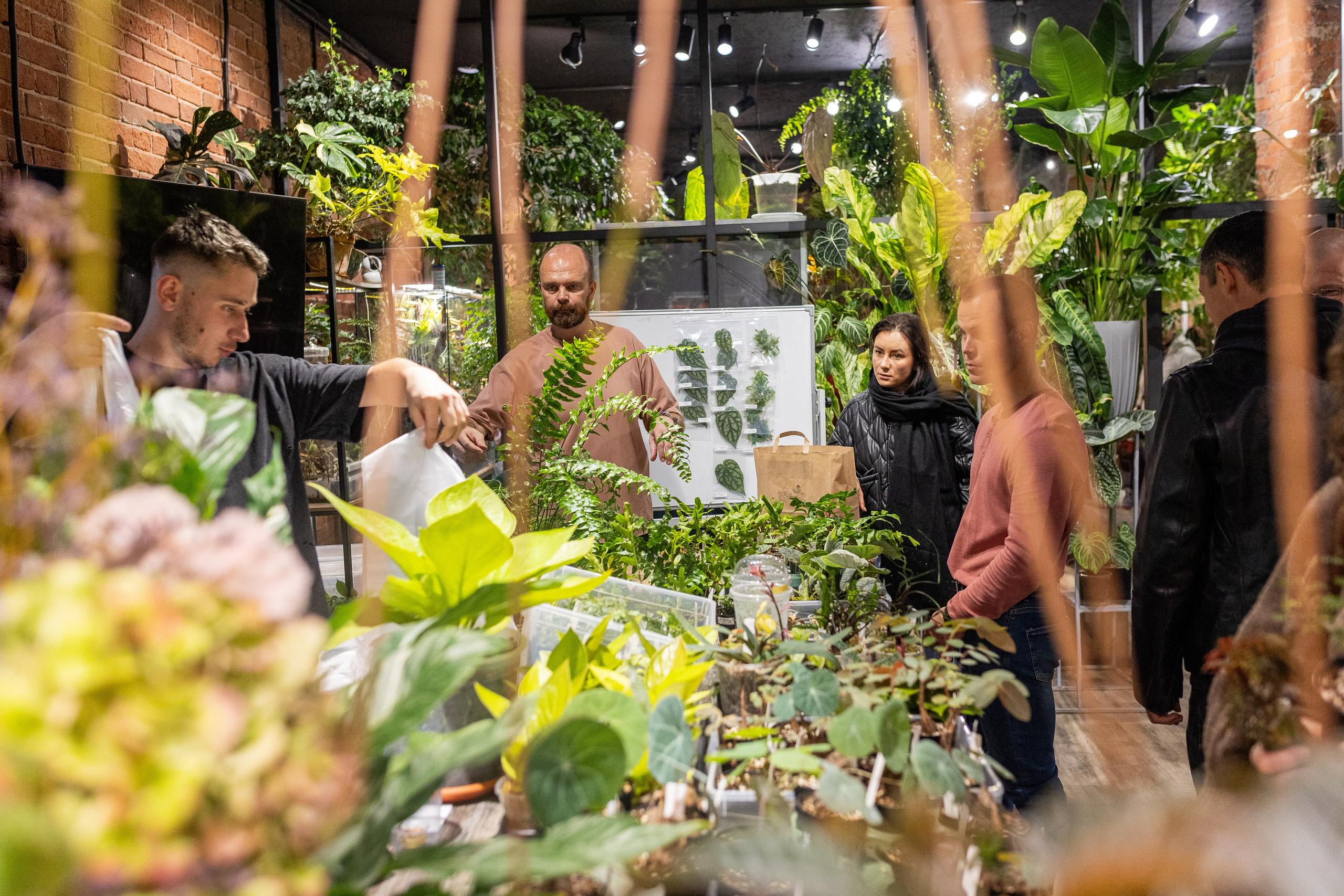 GreenRare ярмарка 2024. Александра Куликова фотограф, Москва
