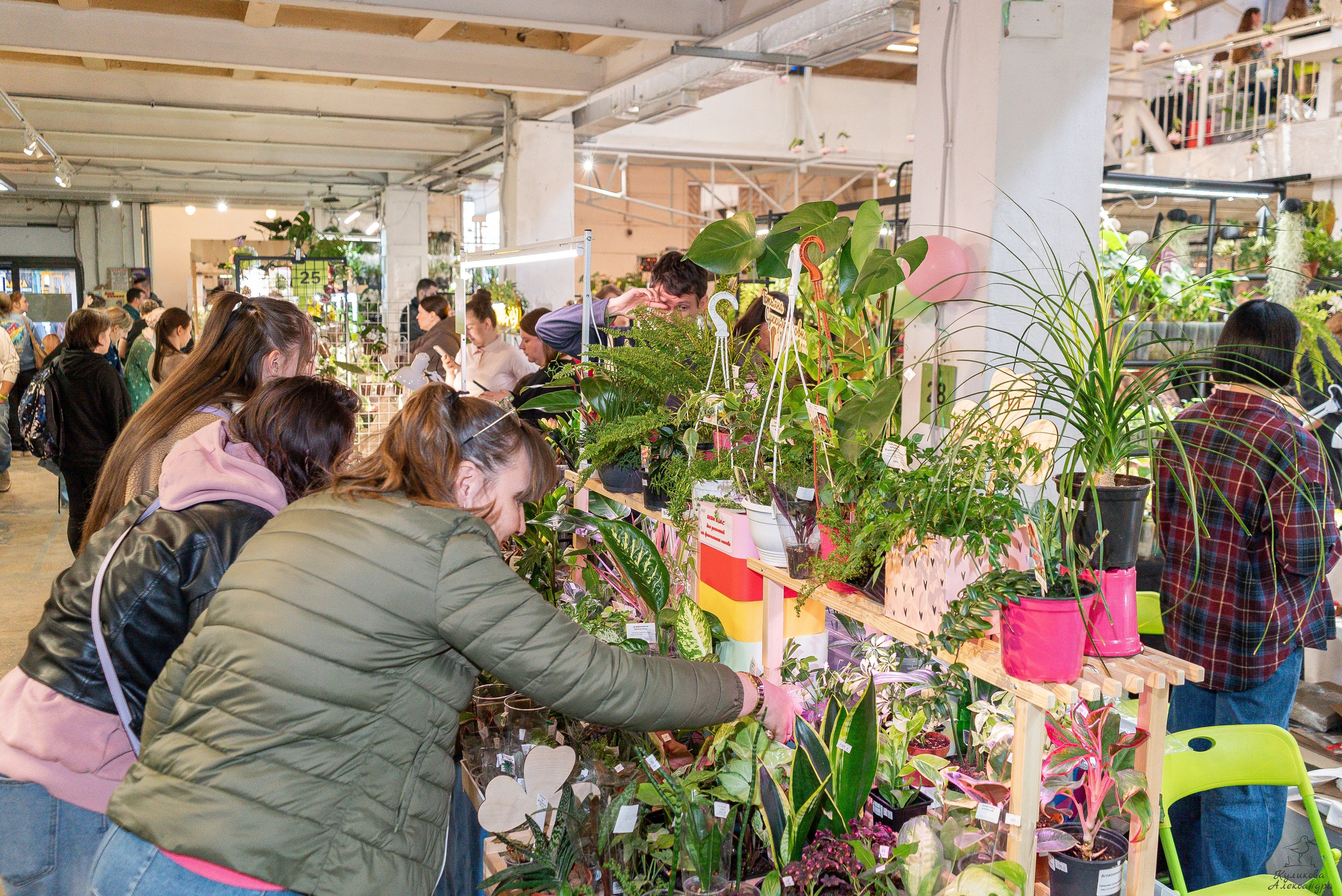 Гроубокс Артплей апрель. Александра Куликова фотограф, Москва