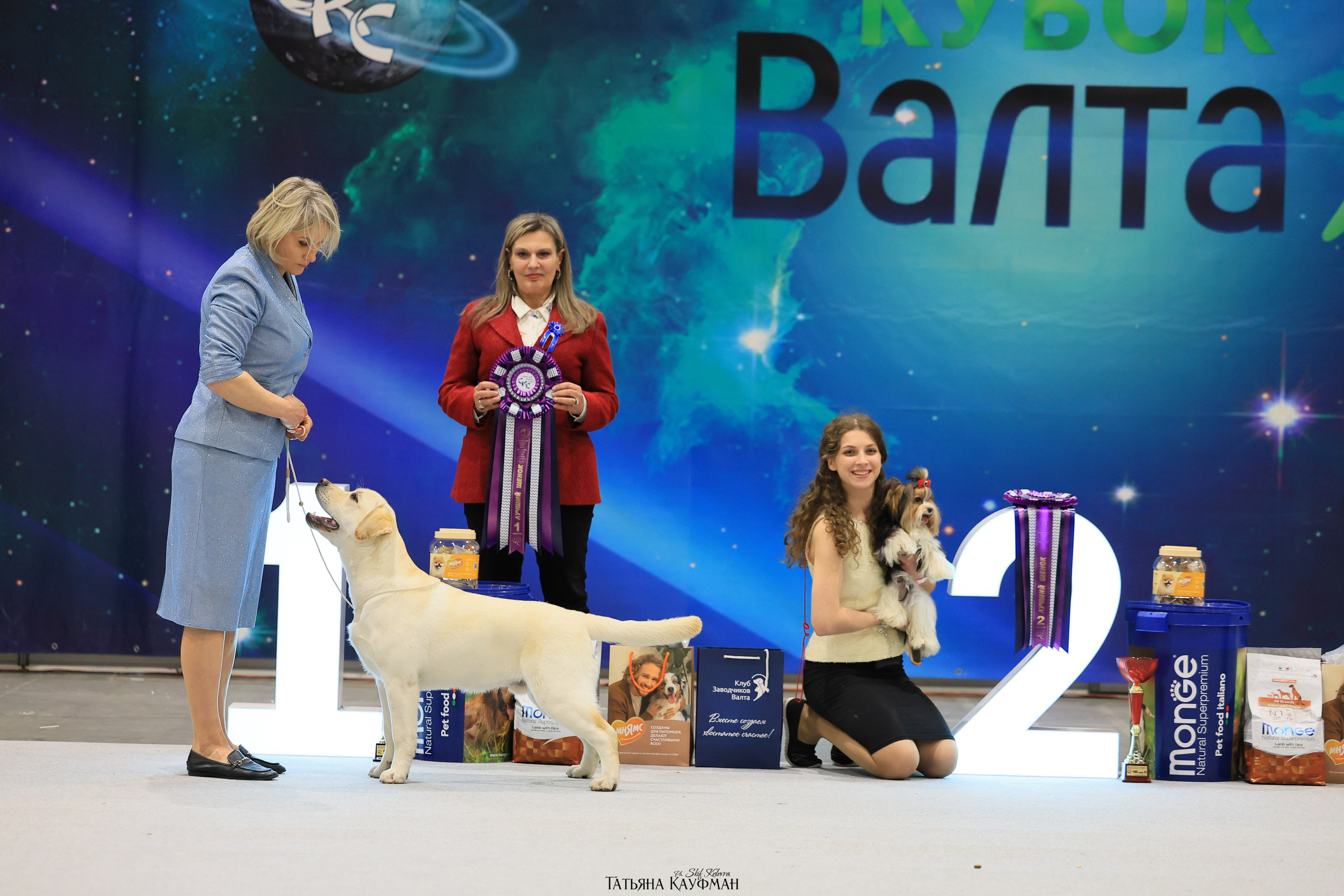 28-29.03.2026 Рейтинговая выставка в Новосибирске. Фотограф Анималист из Новосибирска Татьяна Кауфман