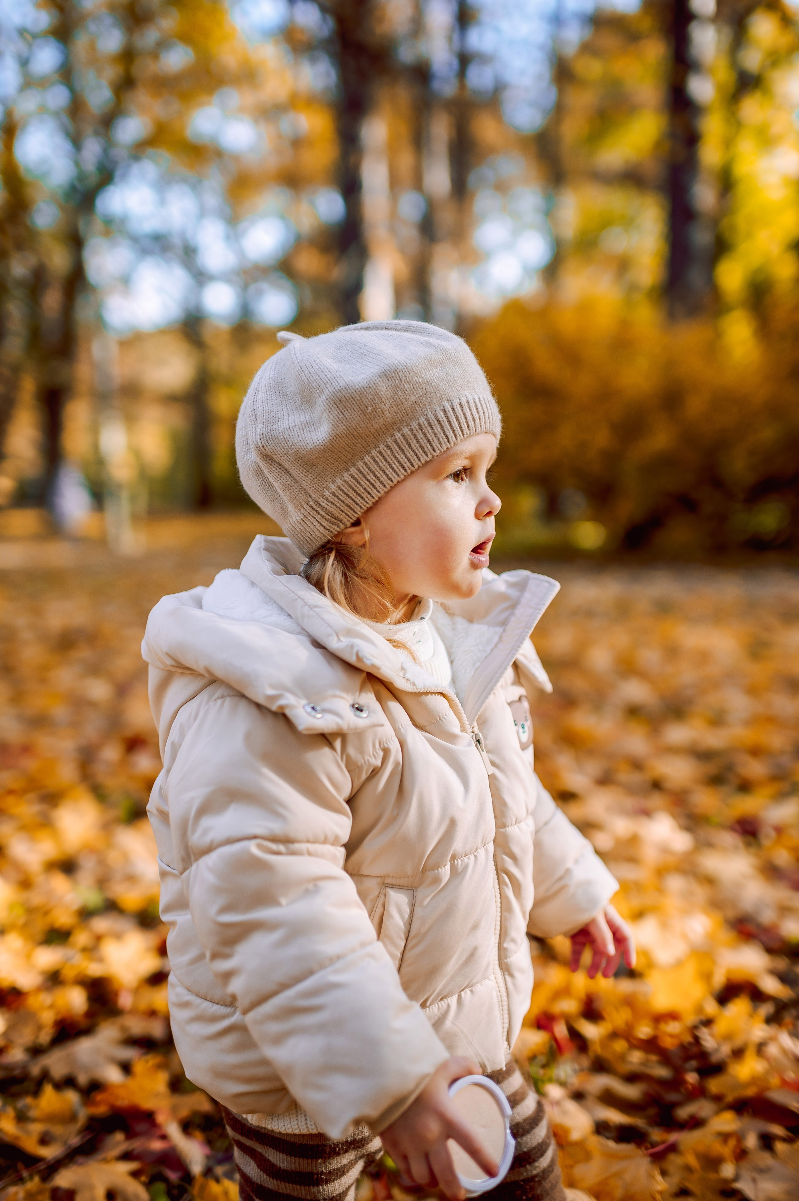 Осенняя семейная прогулка. Портретный, семейный и свадебный фотограф в Санкт-Петербурге и в Пушкине Ширяев Денис