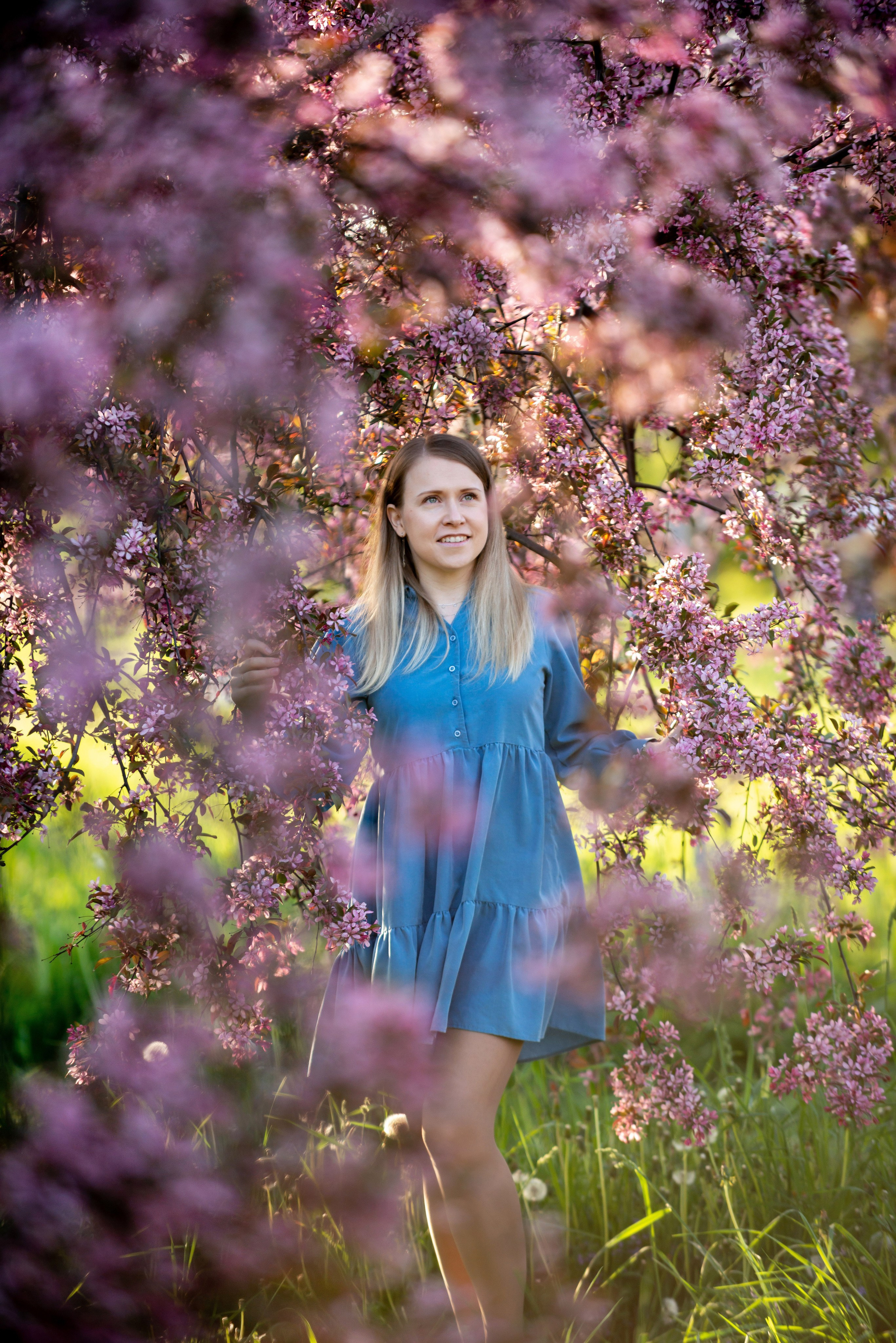 Ника и родители в розовых яблонях. Портретный, семейный и свадебный фотограф в Санкт-Петербурге и в Пушкине Ширяев Денис