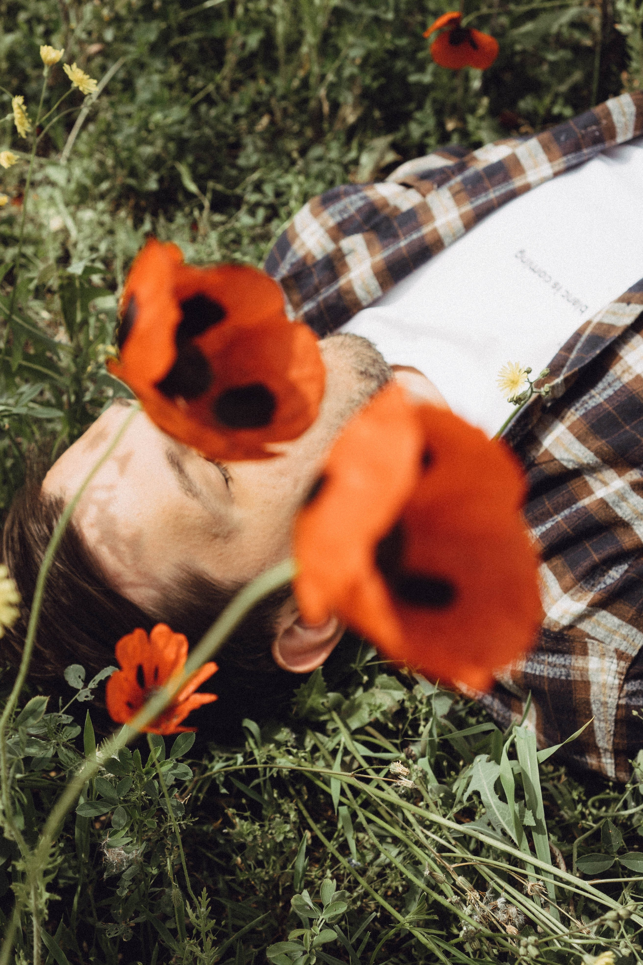 Маки. Профессиональный фотограф, Санкт-Петербург — Виктория Богомолова