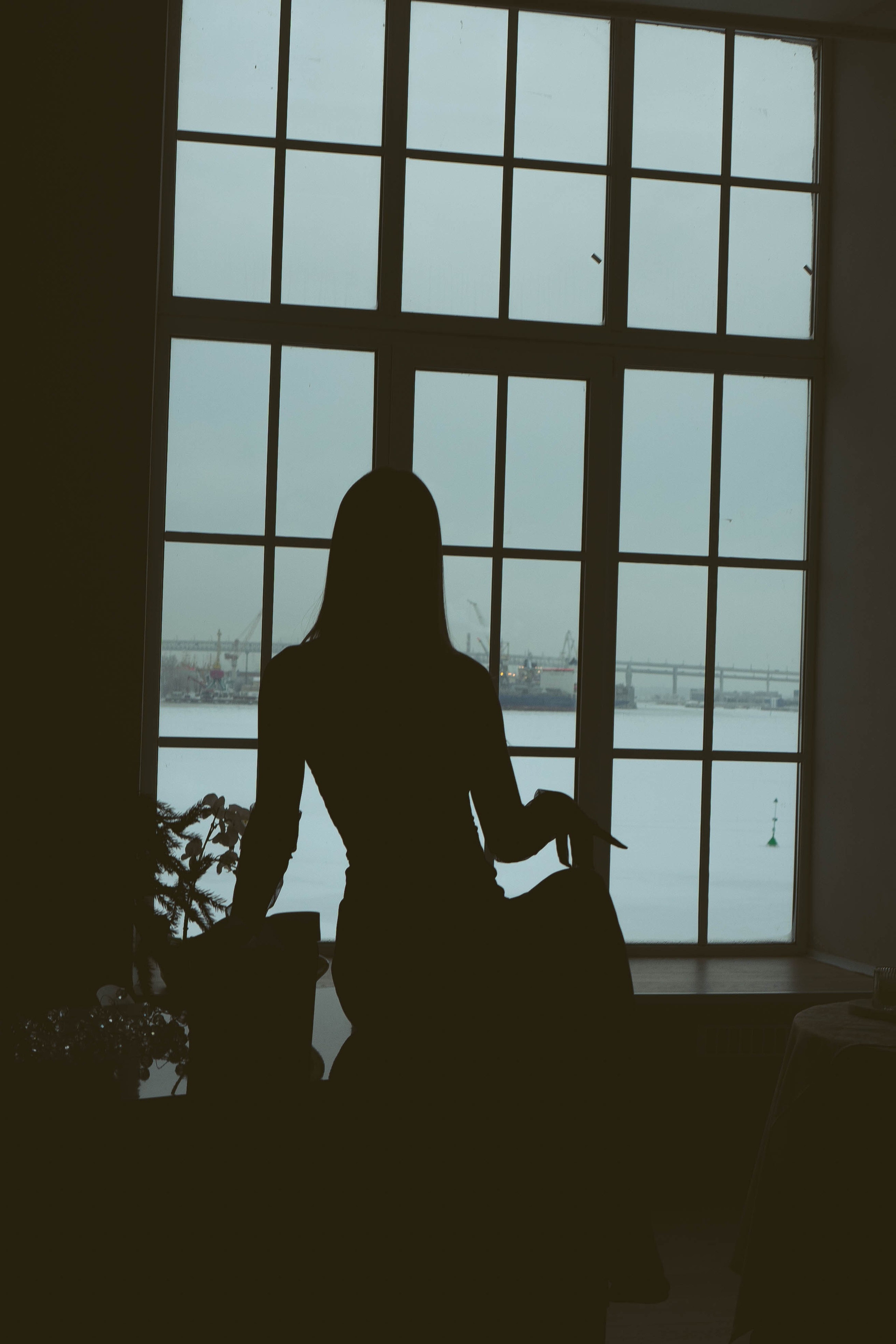 Новогодняя. Профессиональный фотограф, Санкт-Петербург — Виктория Богомолова