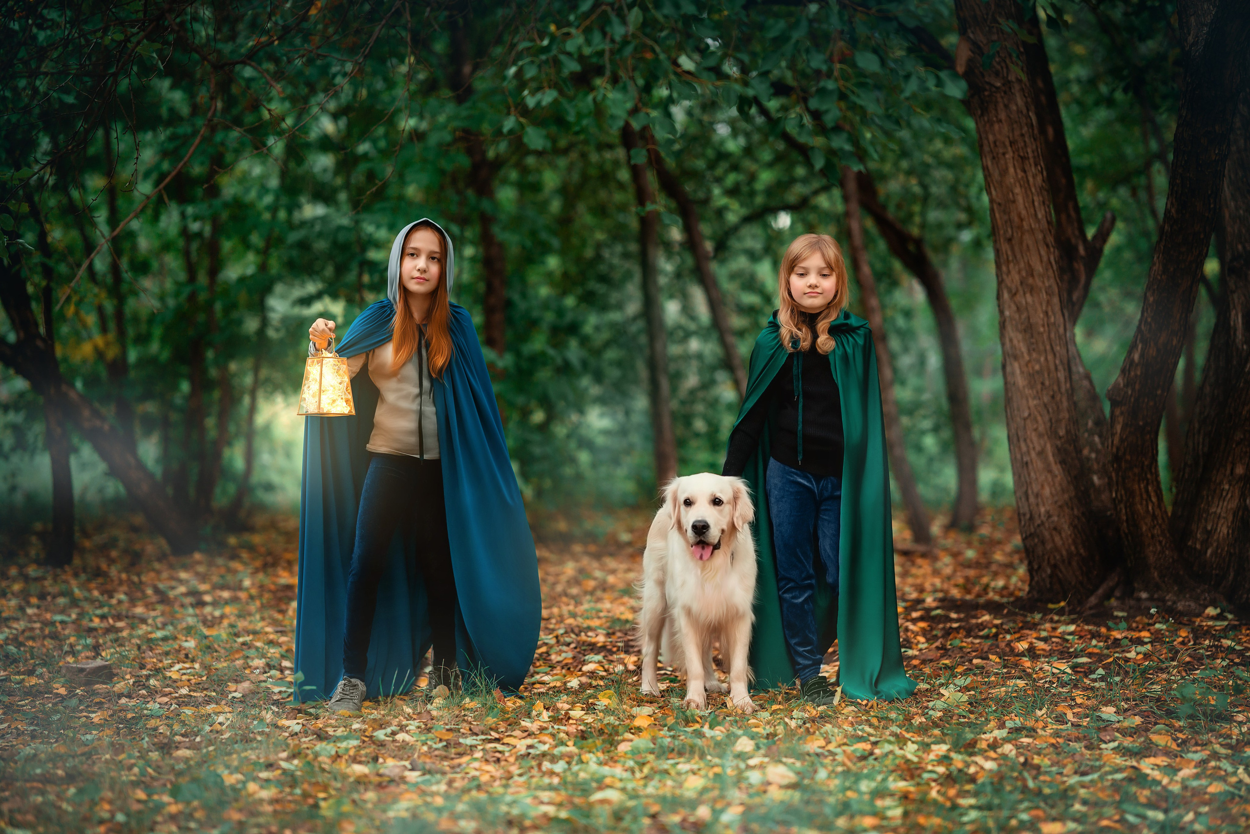 Волшебные звёзды. Фотограф Валентина Полунина