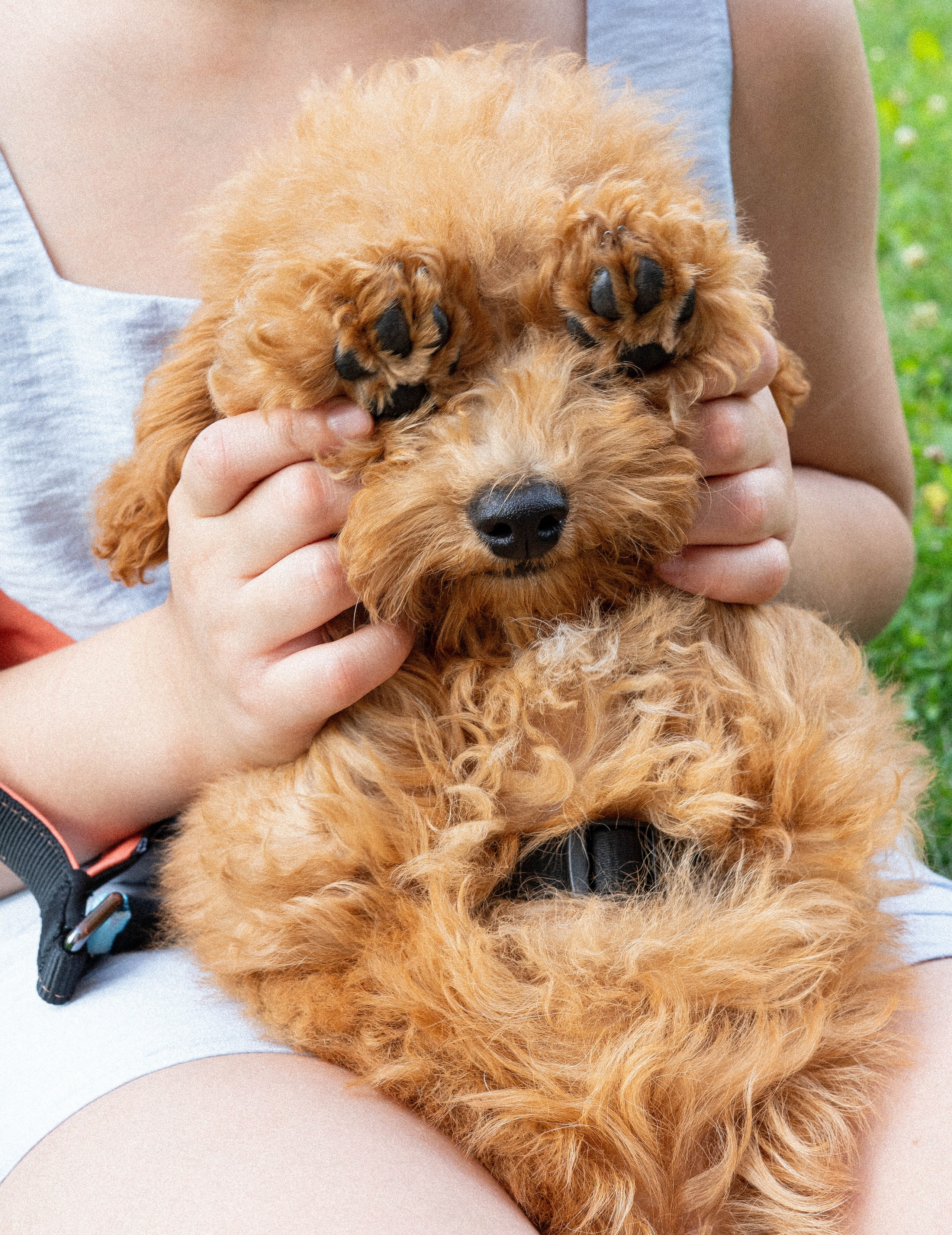 Прогулочная фотосессия Новосибирск Краснообск Love-story  фотосессия Новосибирск Краснообск