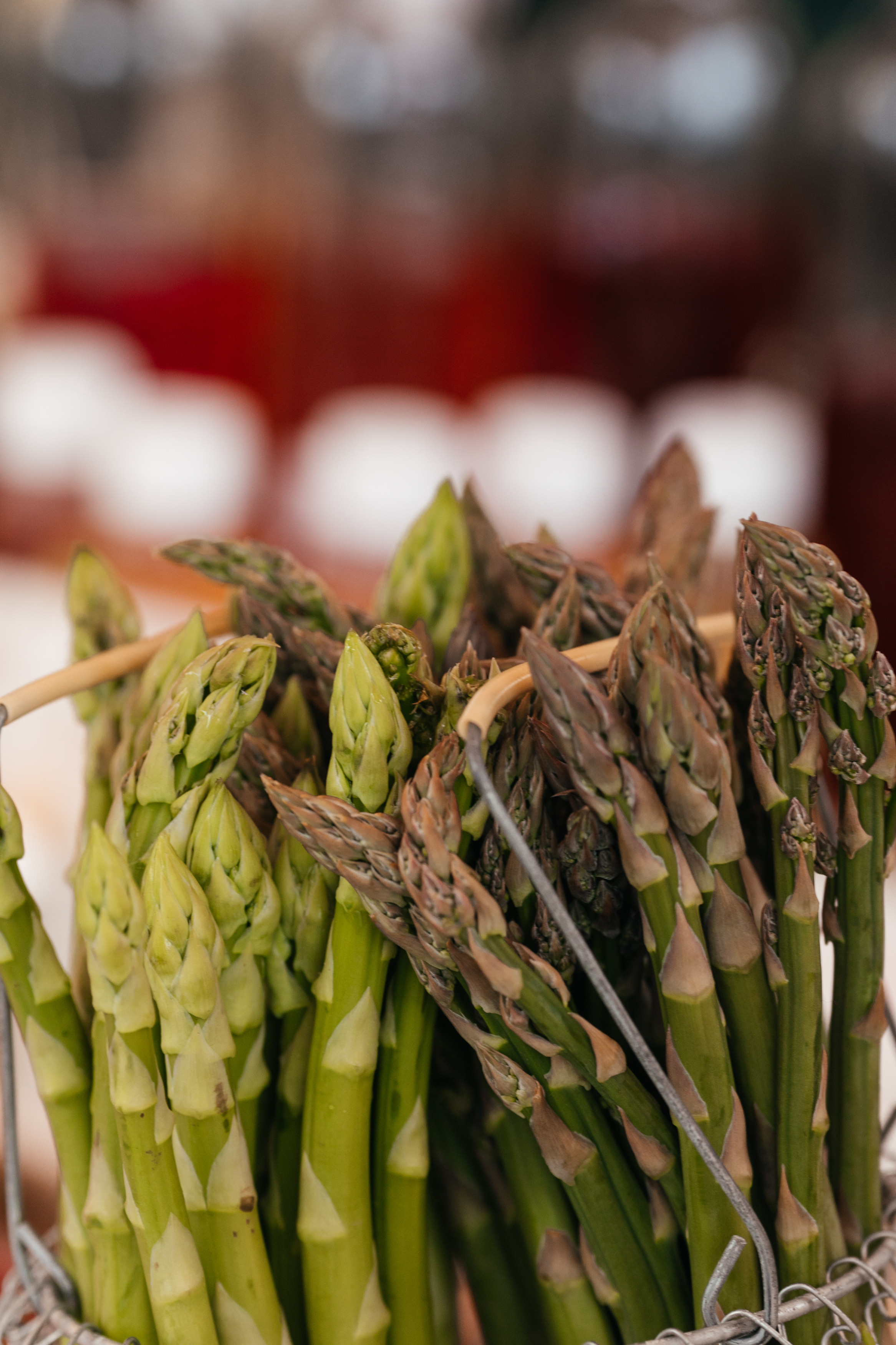 ForteFest. Фотограф Максим Маркелов