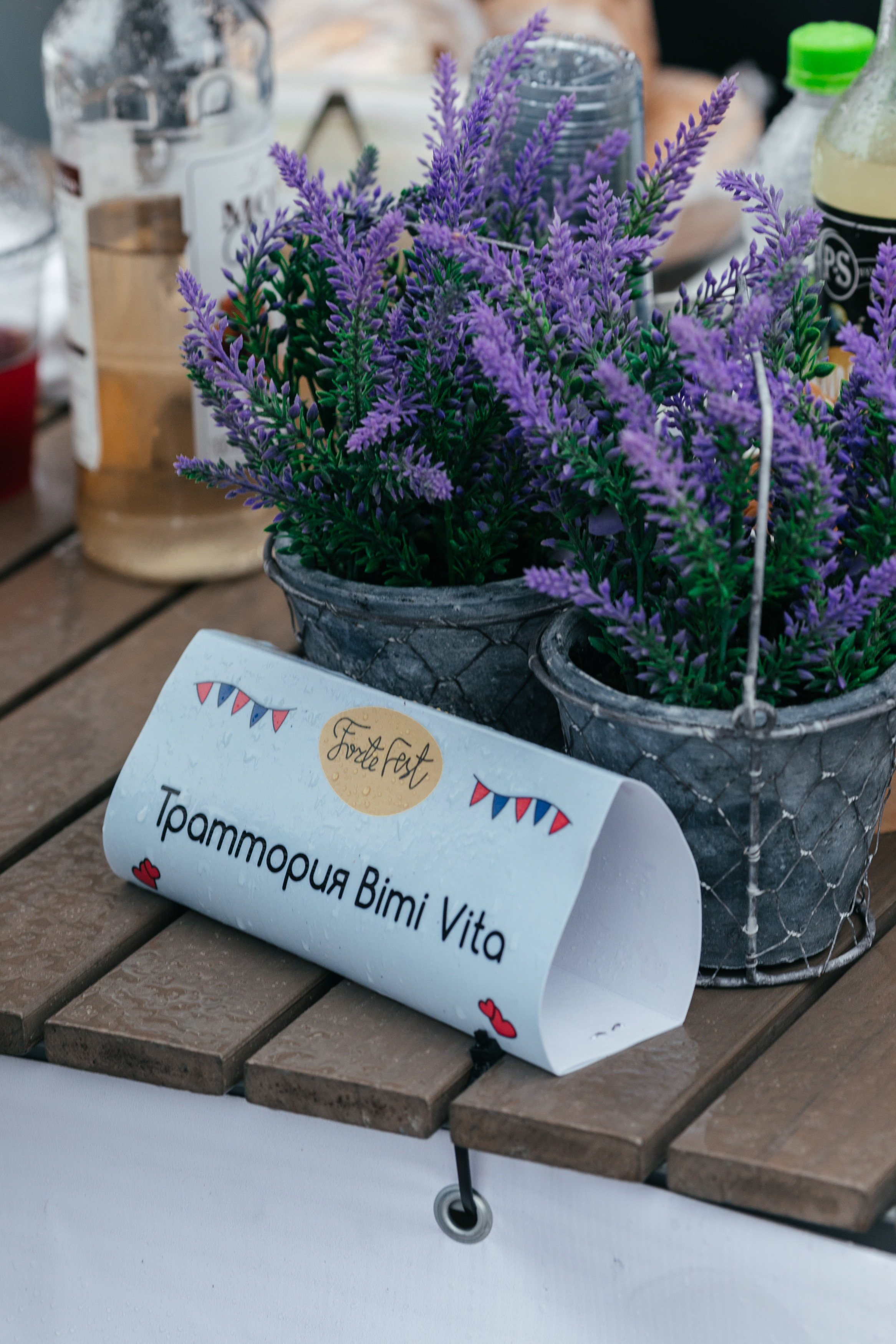 ForteFest. Фотограф Максим Маркелов