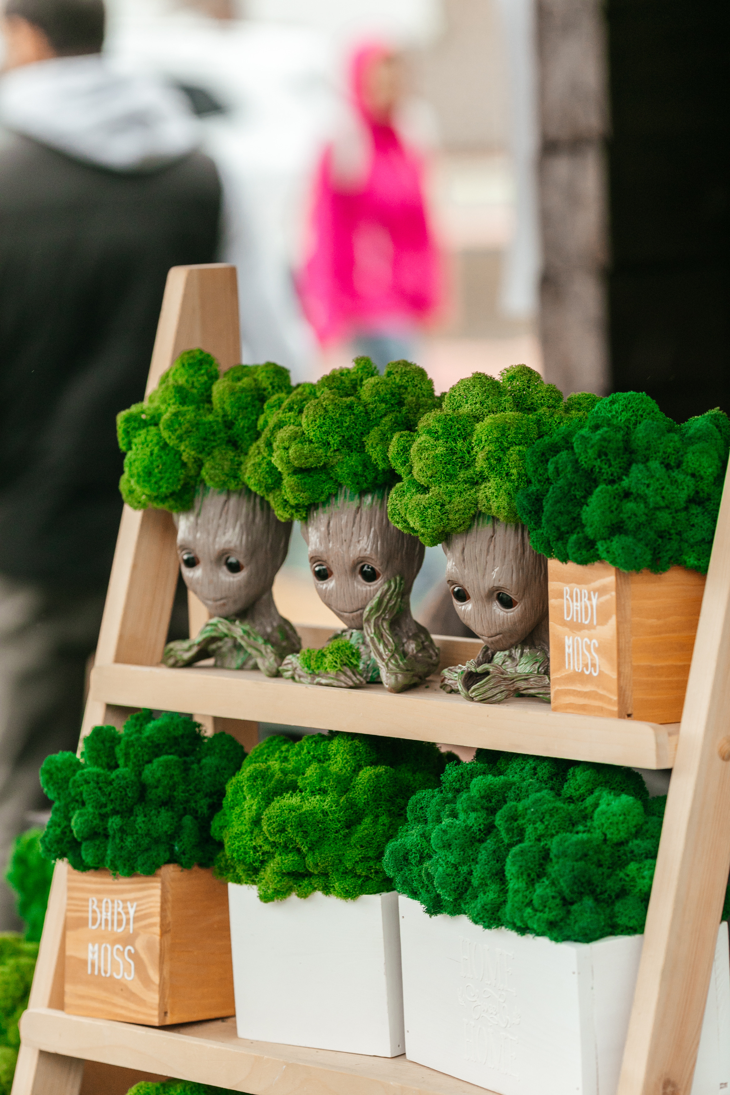 ForteFest. Фотограф Максим Маркелов