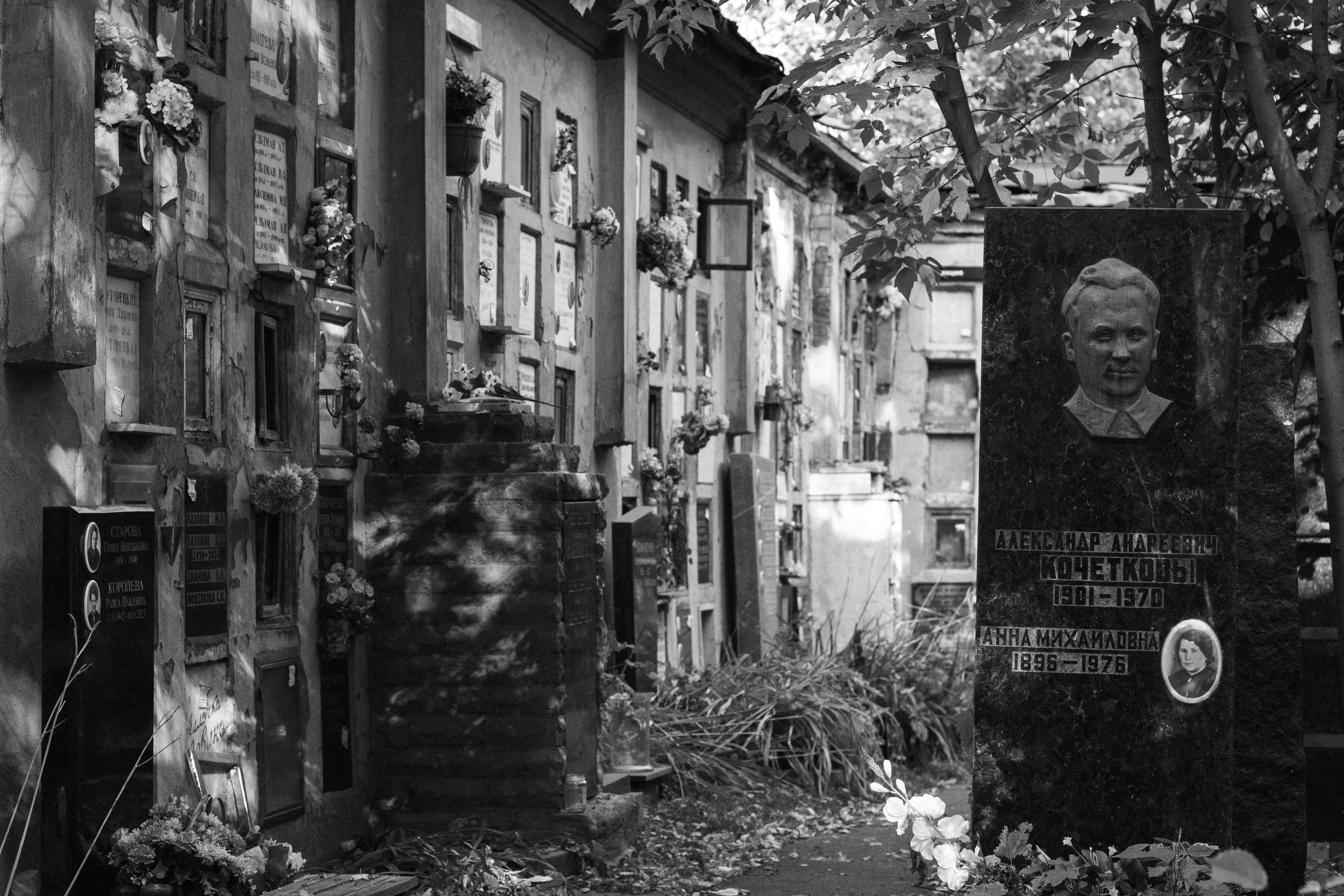 Донское кладбище. Арсений Игошев — фотограф, урбанист