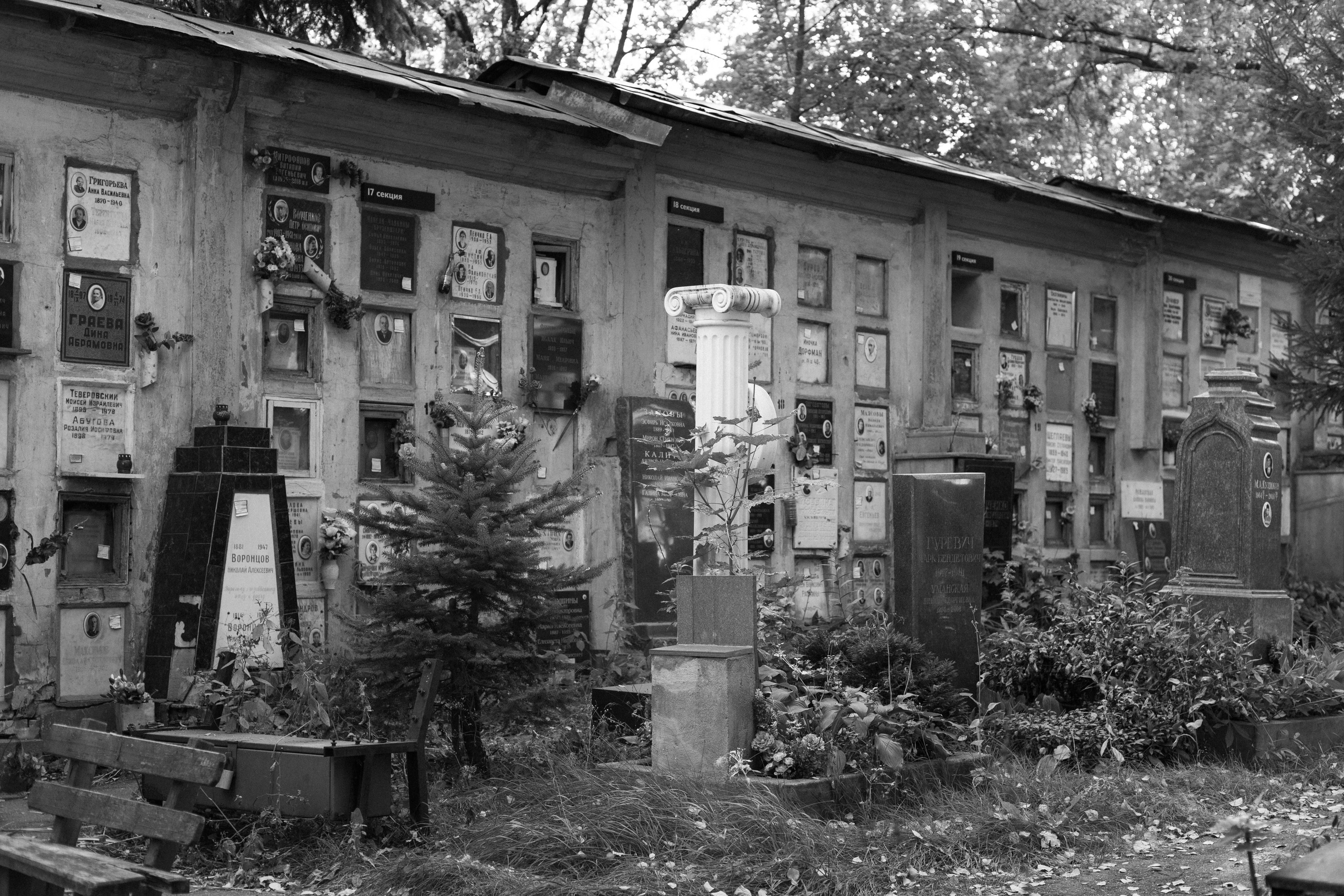 Донское кладбище. Арсений Игошев — фотограф, урбанист