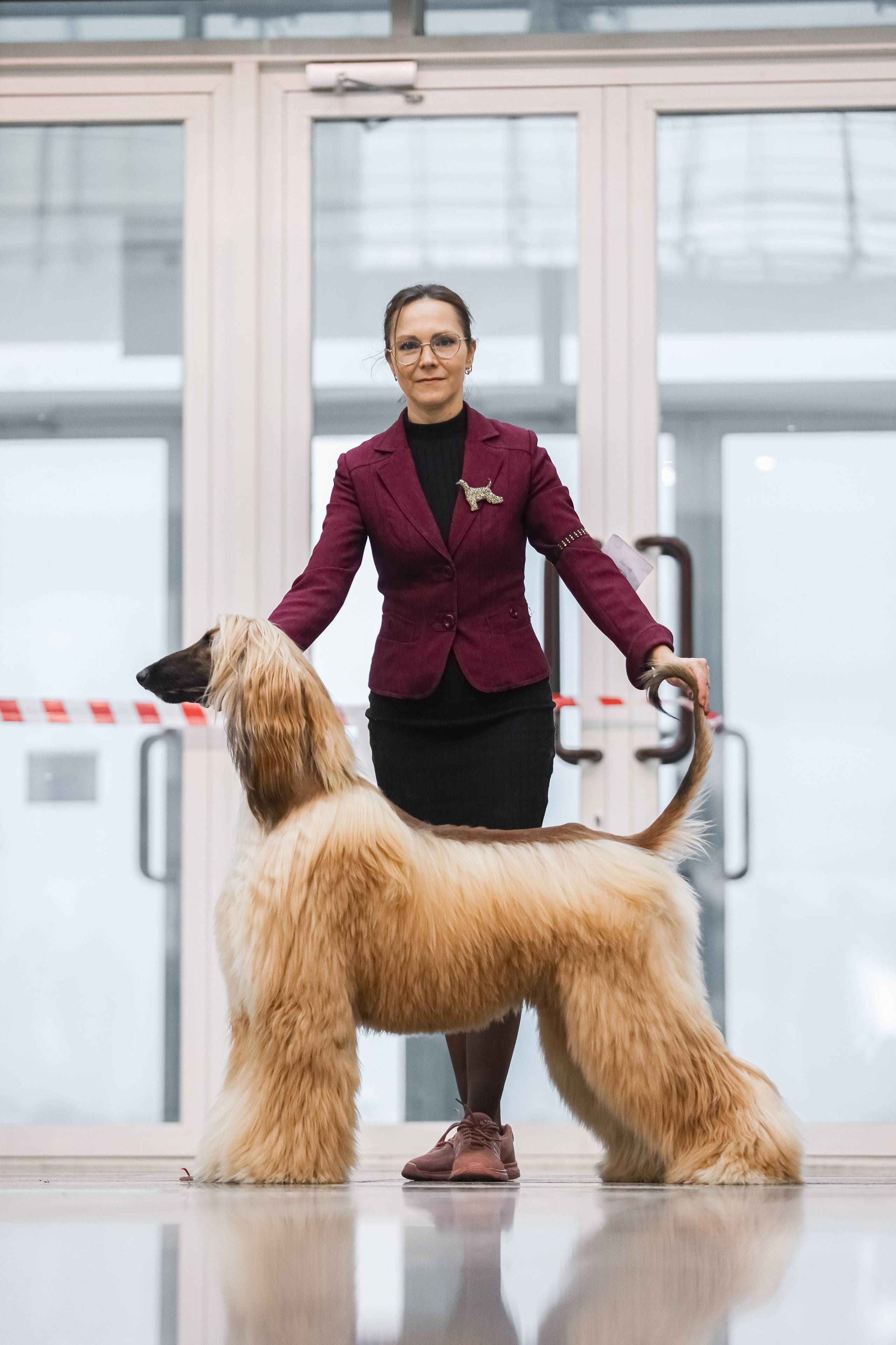 Международная выставка собак СACIB FCI 29-30.11.2025. Галерея фотографий афганской борзой