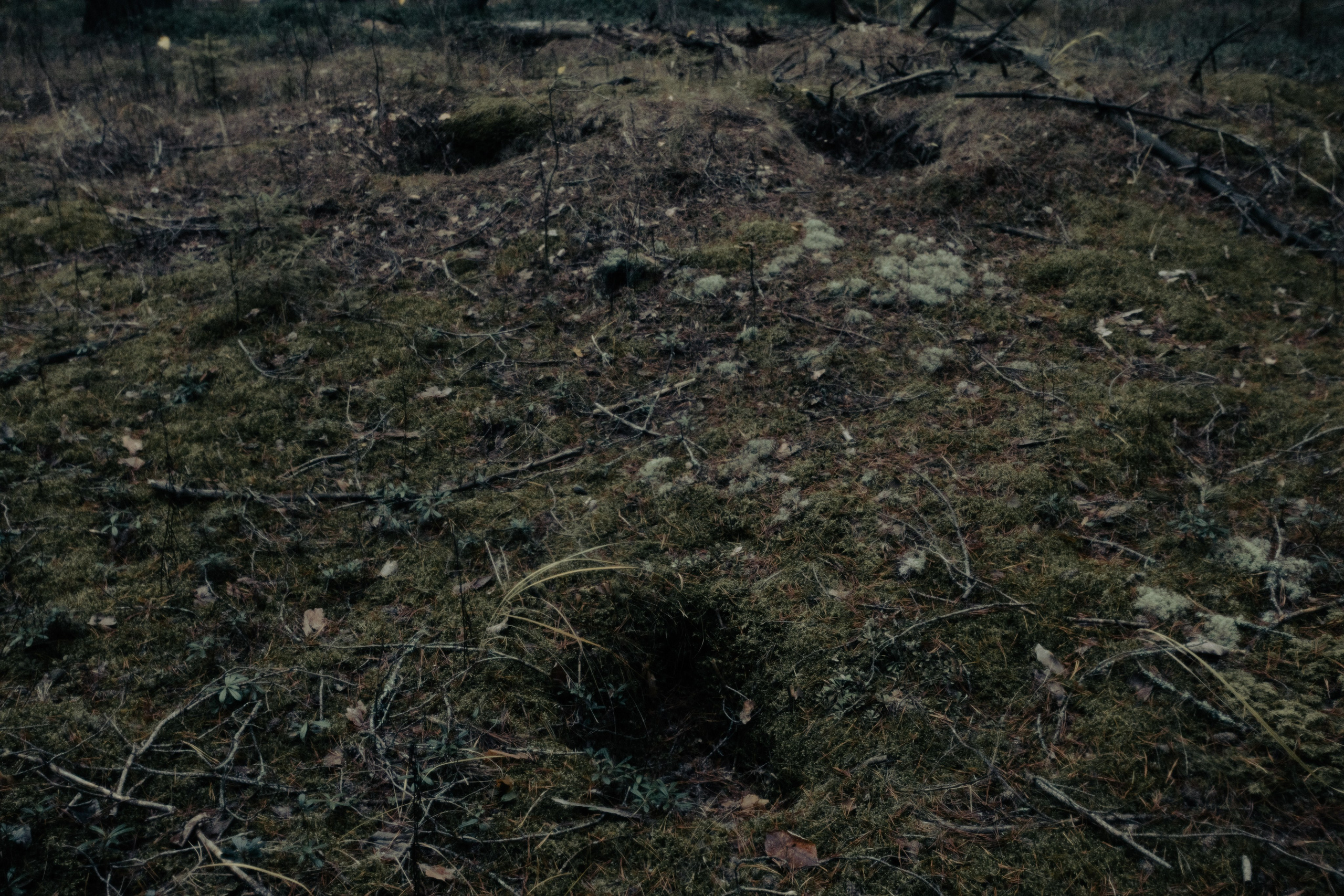 Метафизика. Фотограф Александр Тихонов