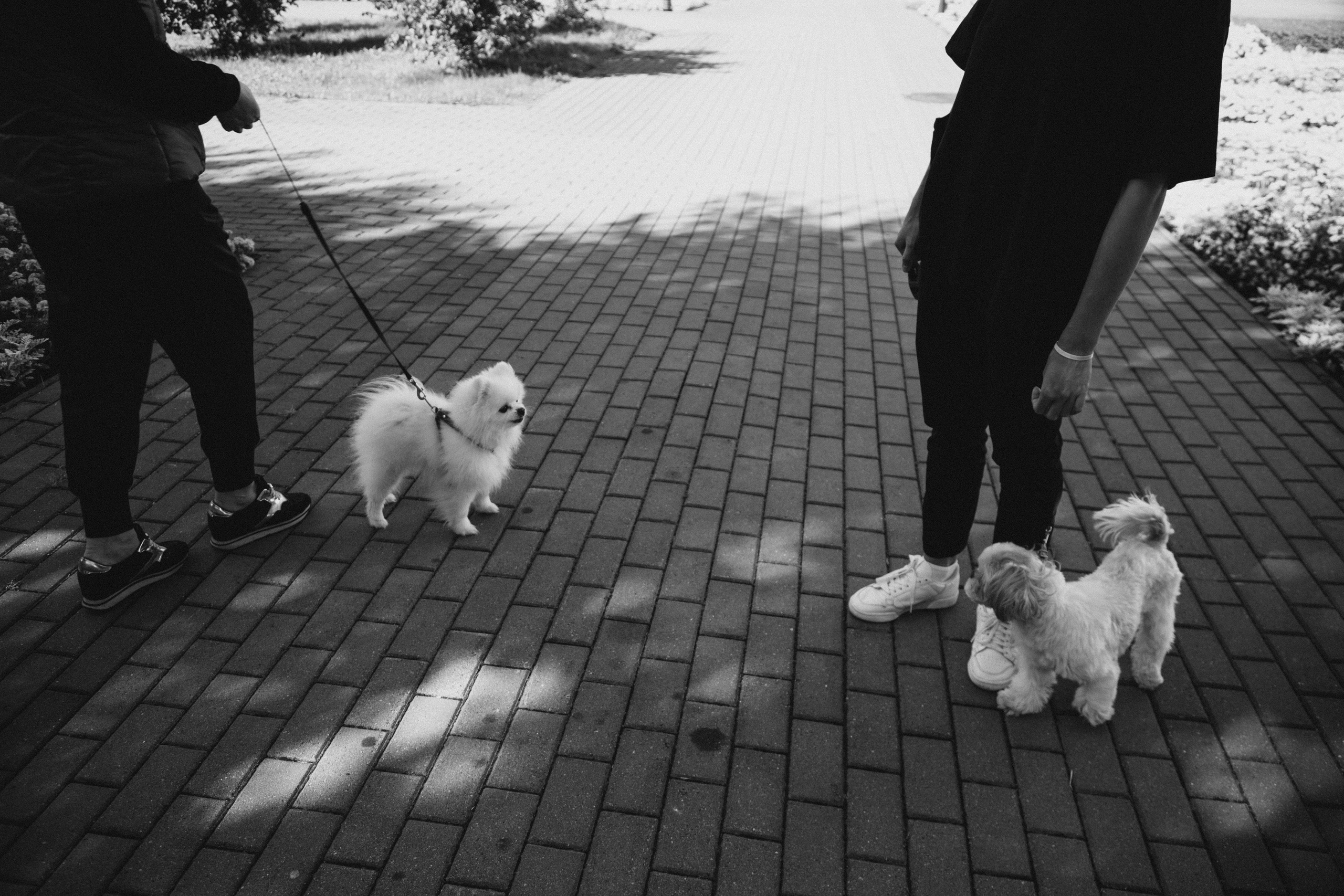 Даша. Семейный фотограф в Москве