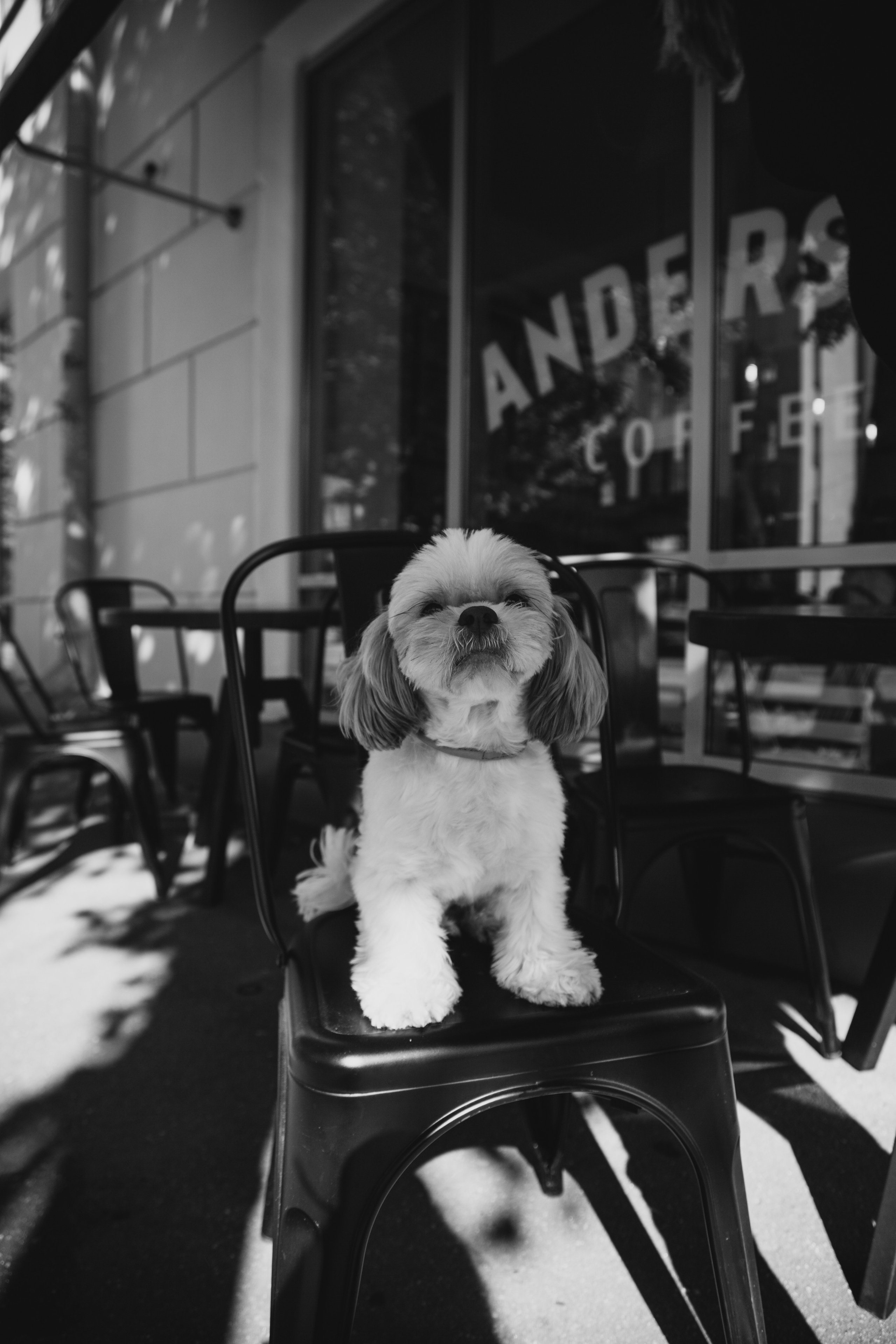 Даша. Семейный фотограф в Москве
