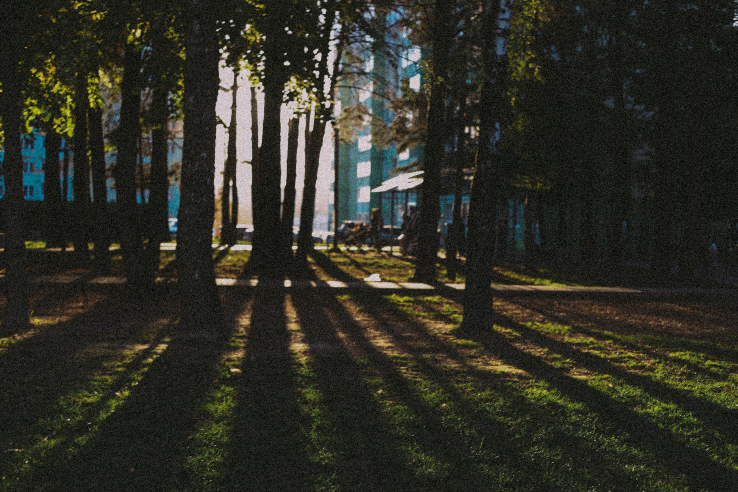Autumn. Семейный фотограф в Москве