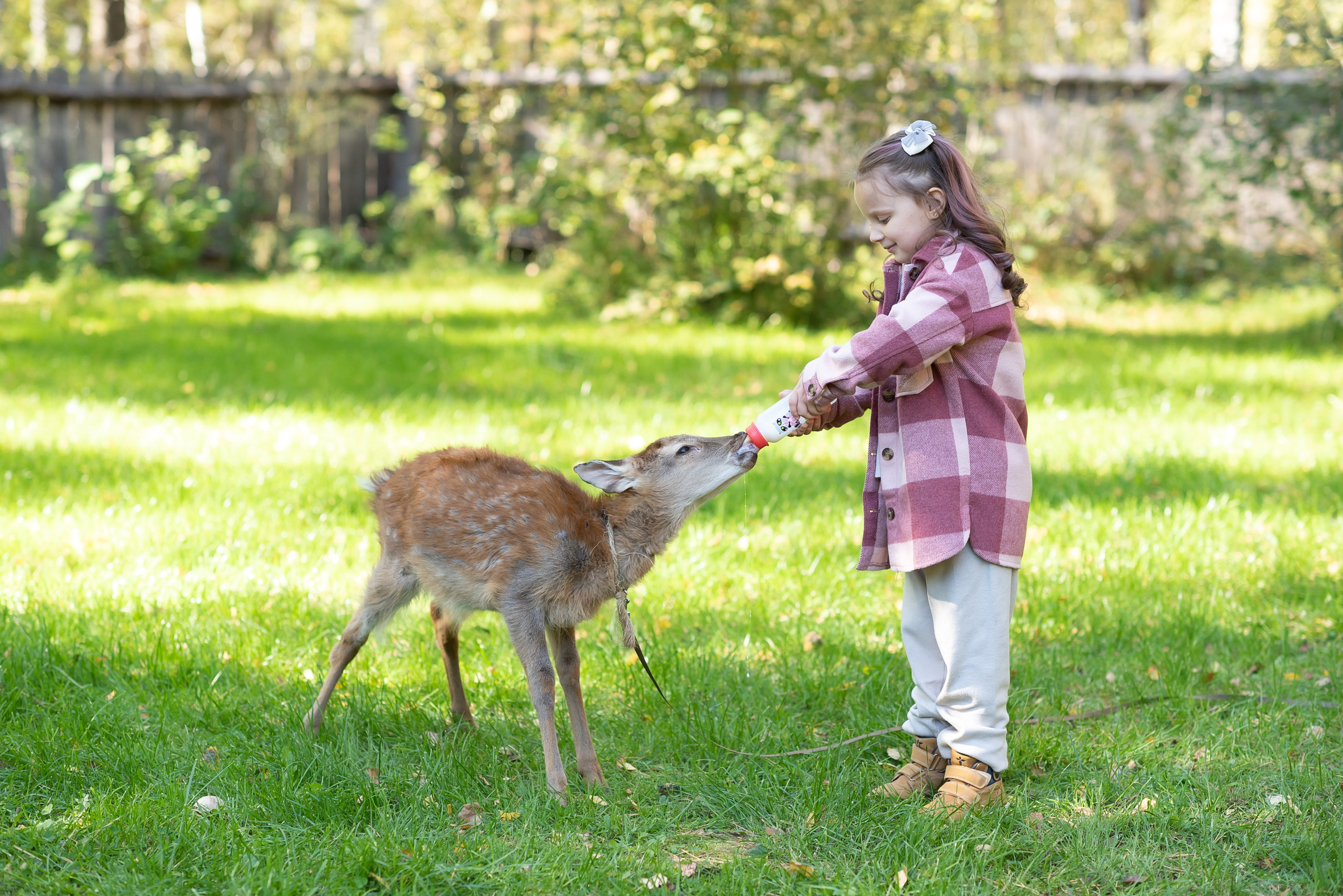 Фотостудия Лес Чудес. Фотограф Мария Усманова, Казань