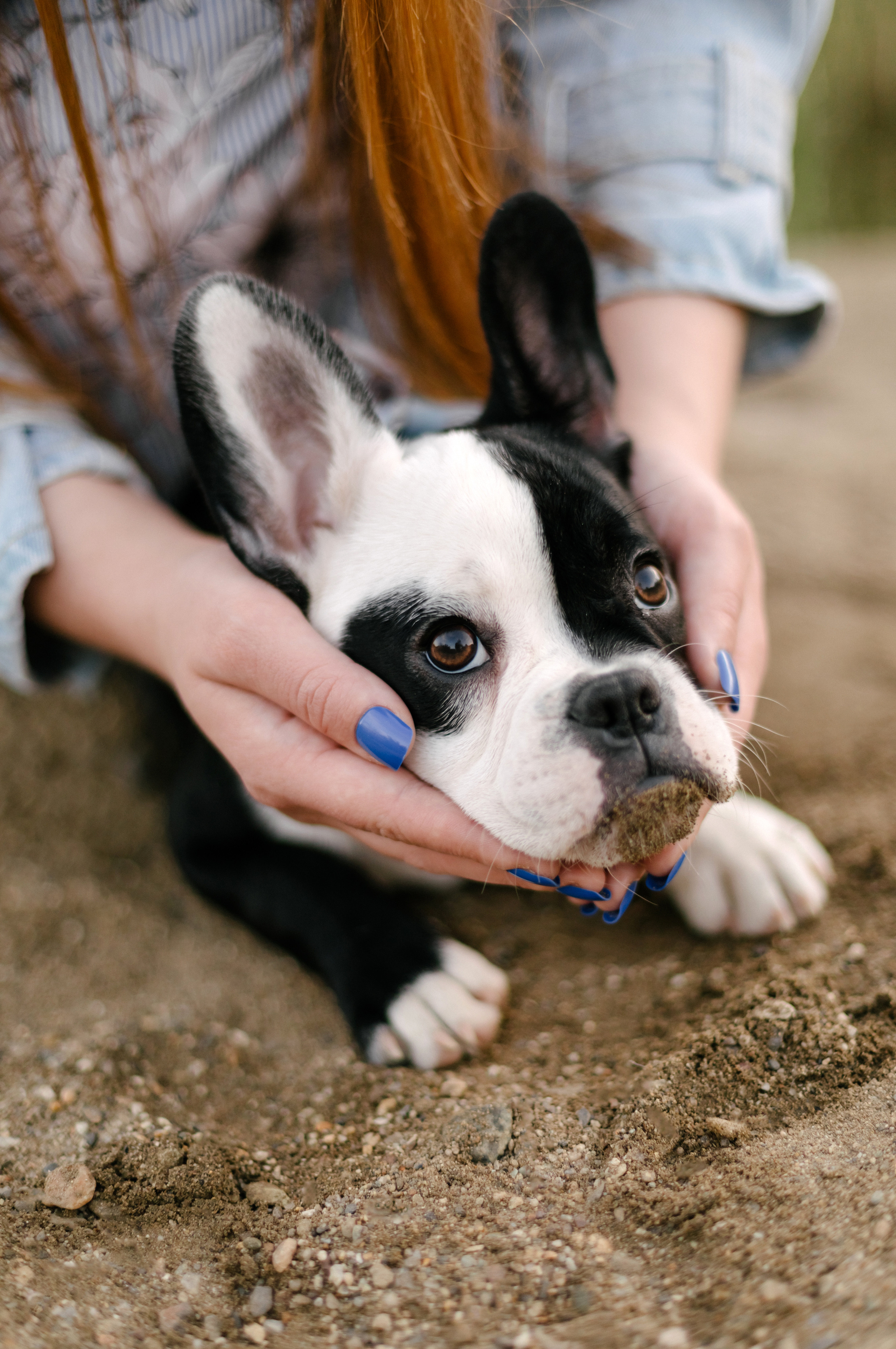Александр и Анастасия. Свадебный и портретный фотограф в Миассе Филиппенко Дарья