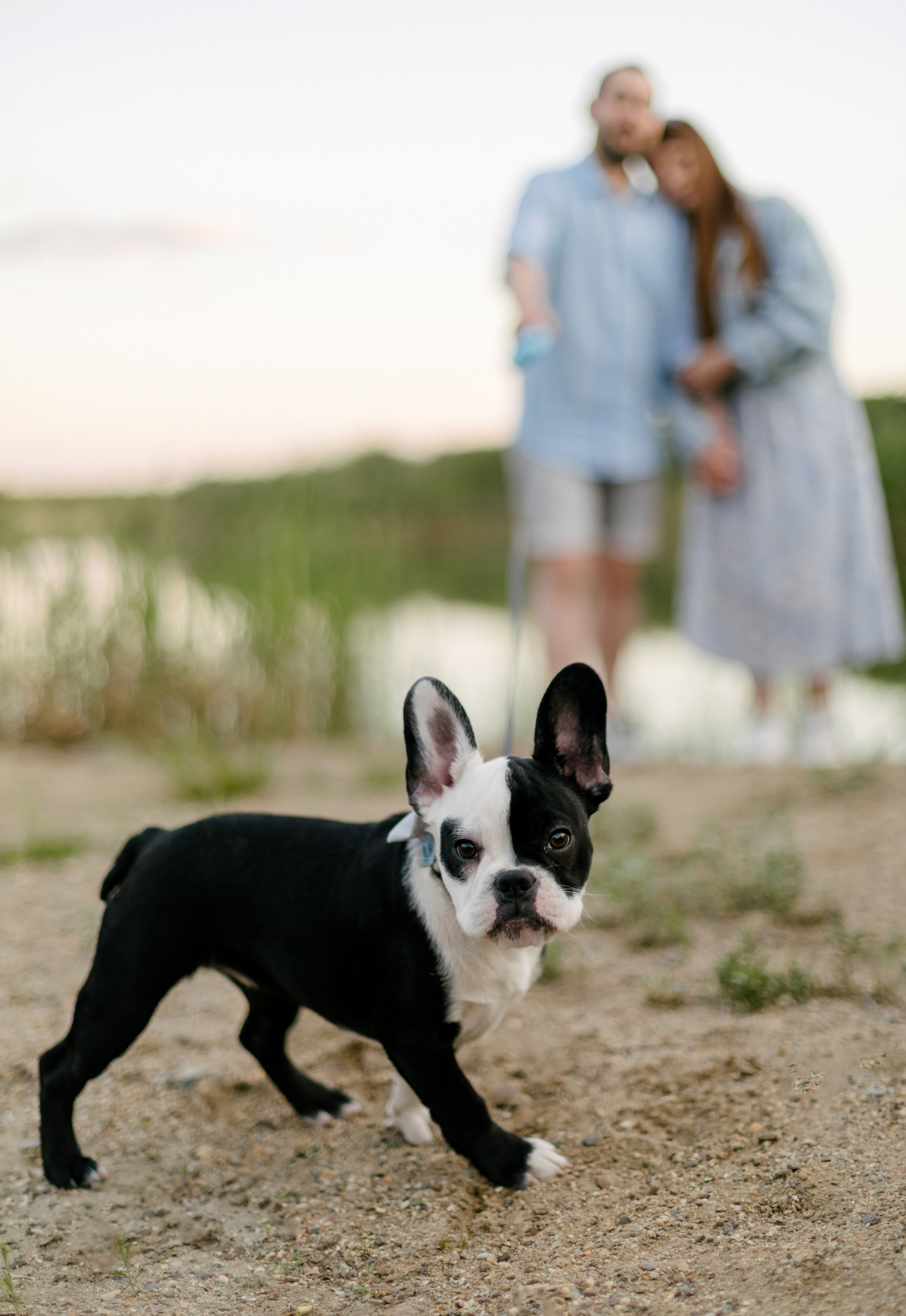 Александр и Анастасия. Свадебный и портретный фотограф в Миассе Филиппенко Дарья