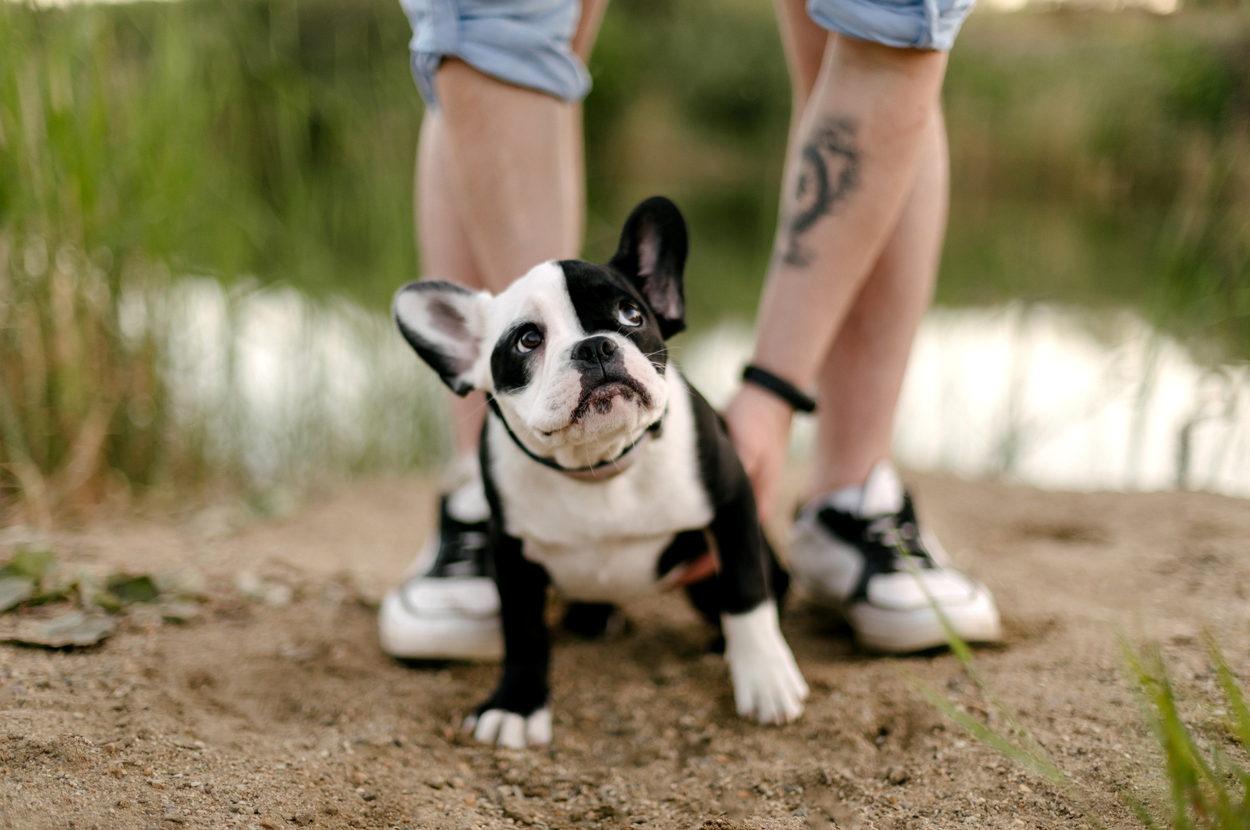 Александр и Анастасия. Свадебный и портретный фотограф в Миассе Филиппенко Дарья