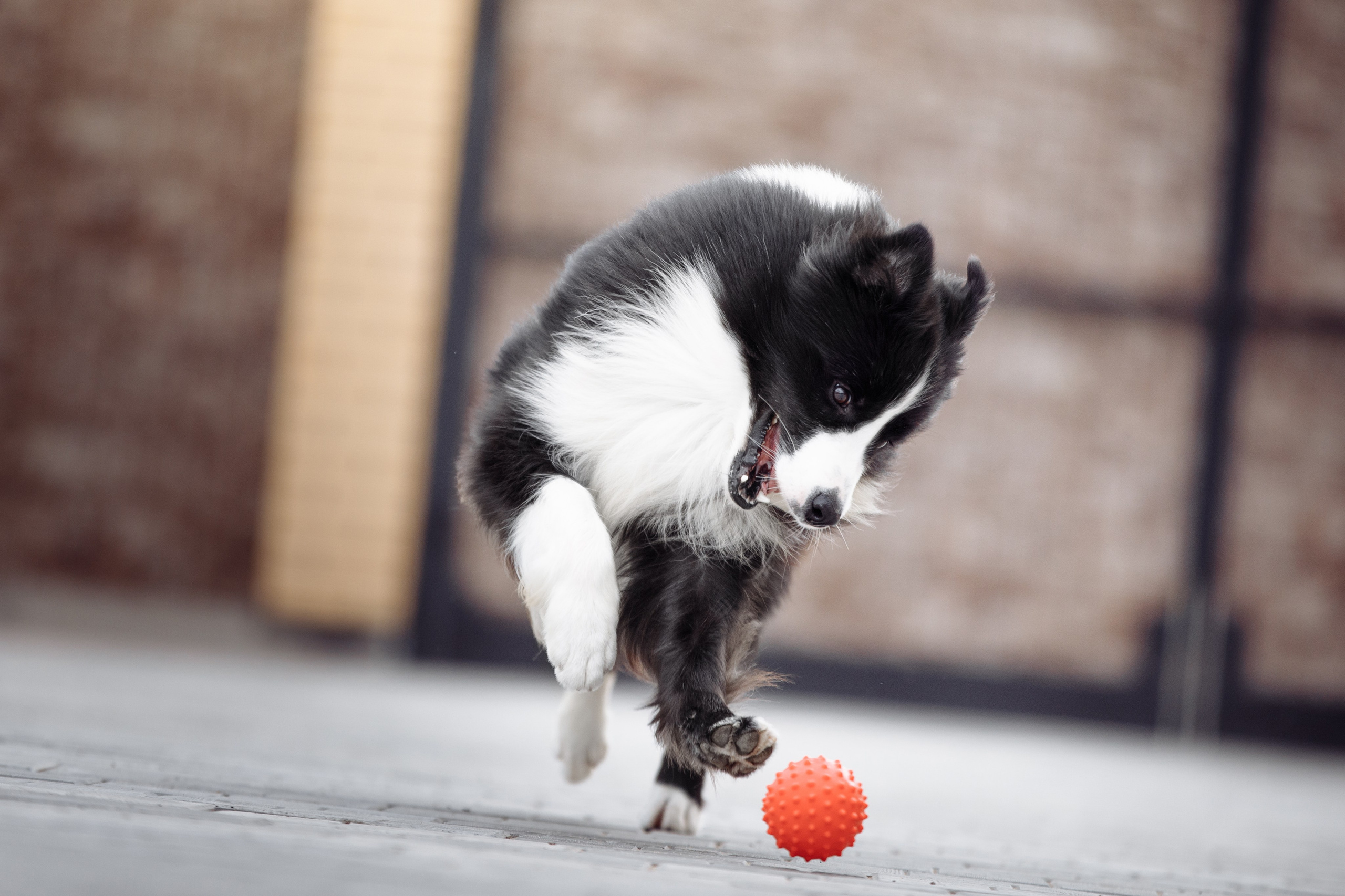 Свое место. О нас