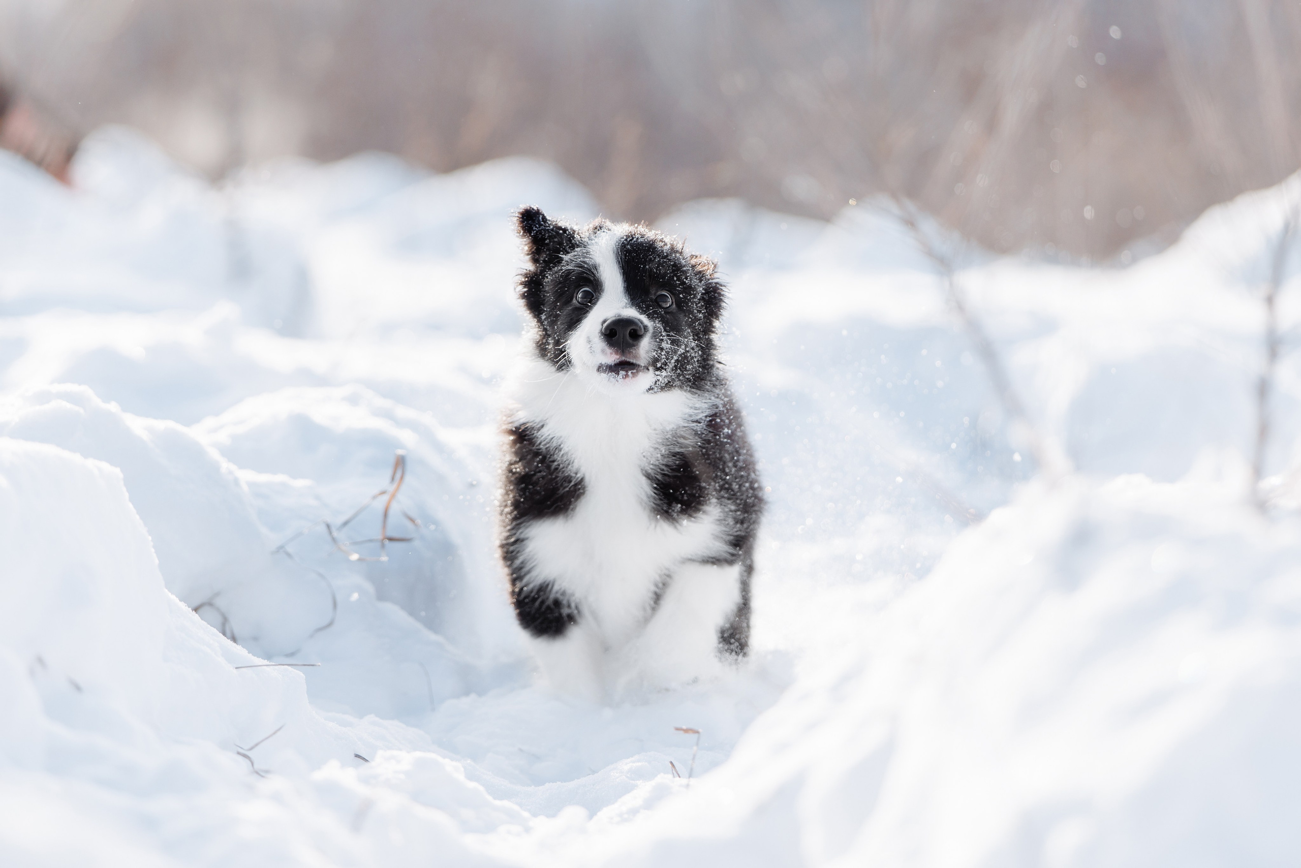 Яркий январь. О нас