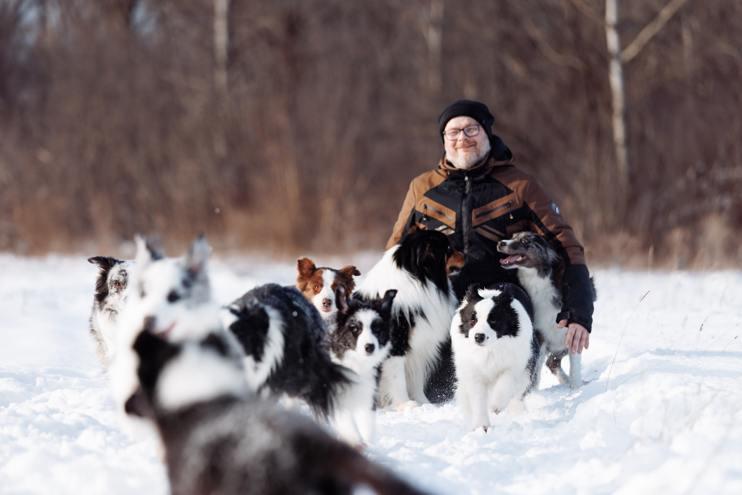 Яркий январь. О нас