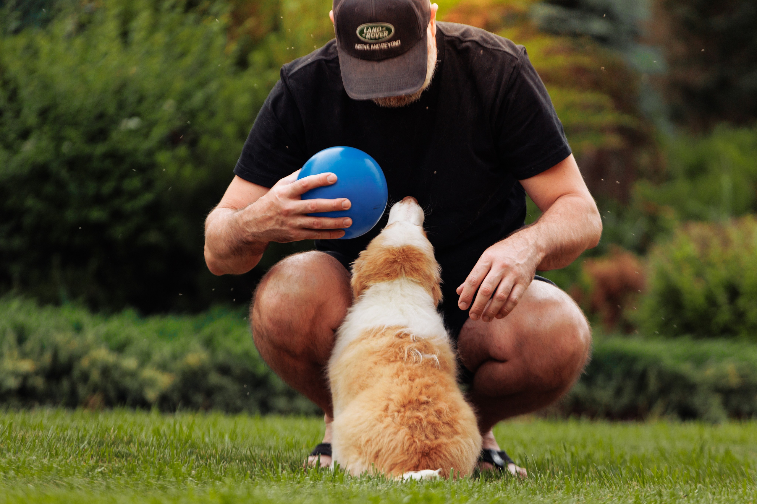 СОлнечные. О нас