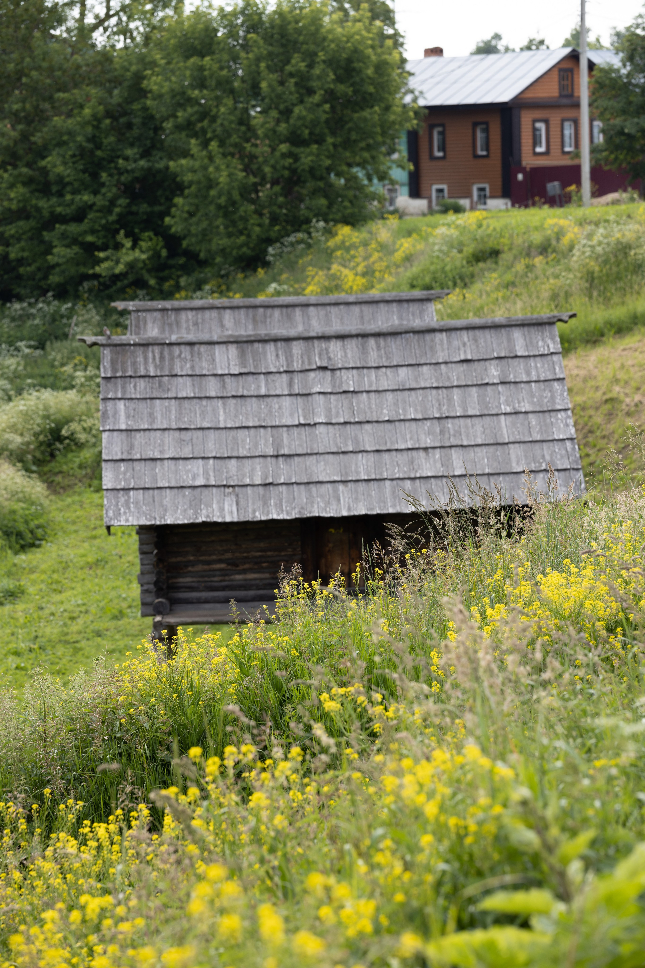 Природные пейзажи. Наталия Клевинскас портретный фотограф в Костроме