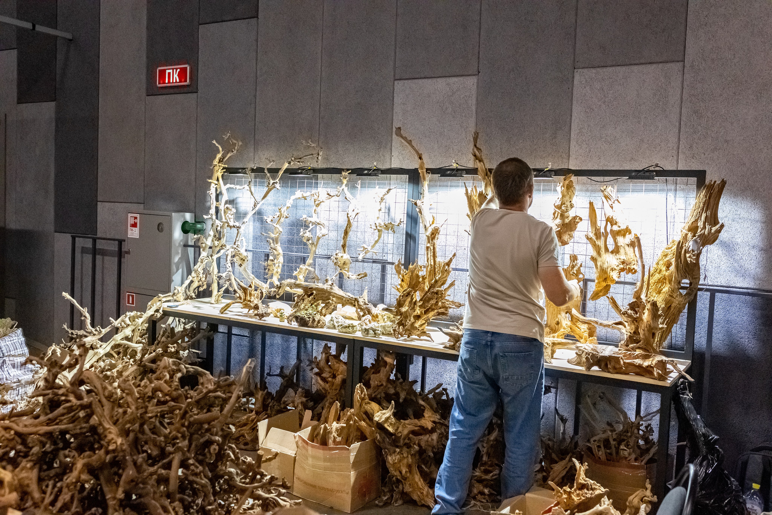 Рептилиум 2024. Александра Куликова фотограф, Москва