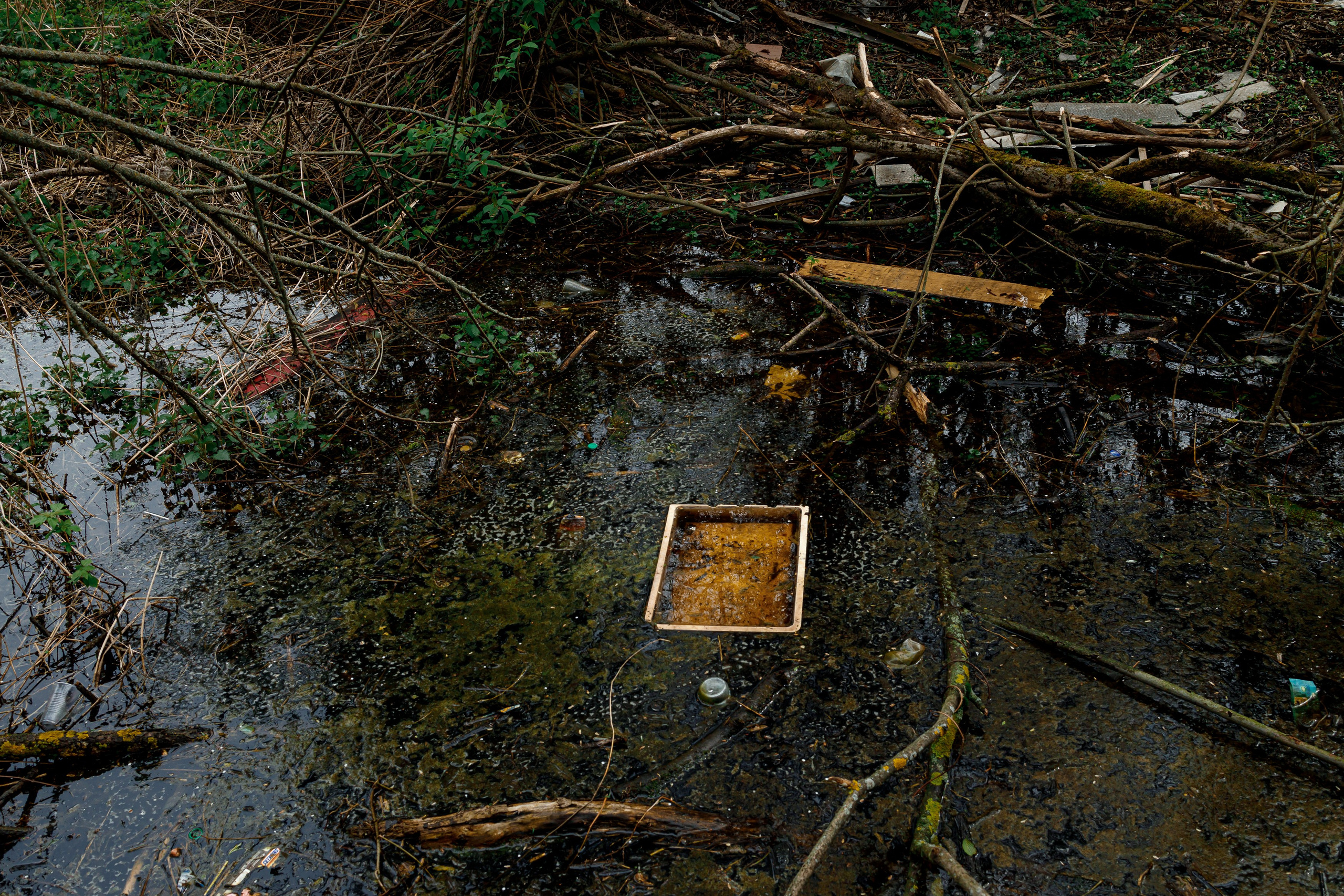 Непривычная фотография. Репортажный и портретный фотограф в Москве Саханцева Анна