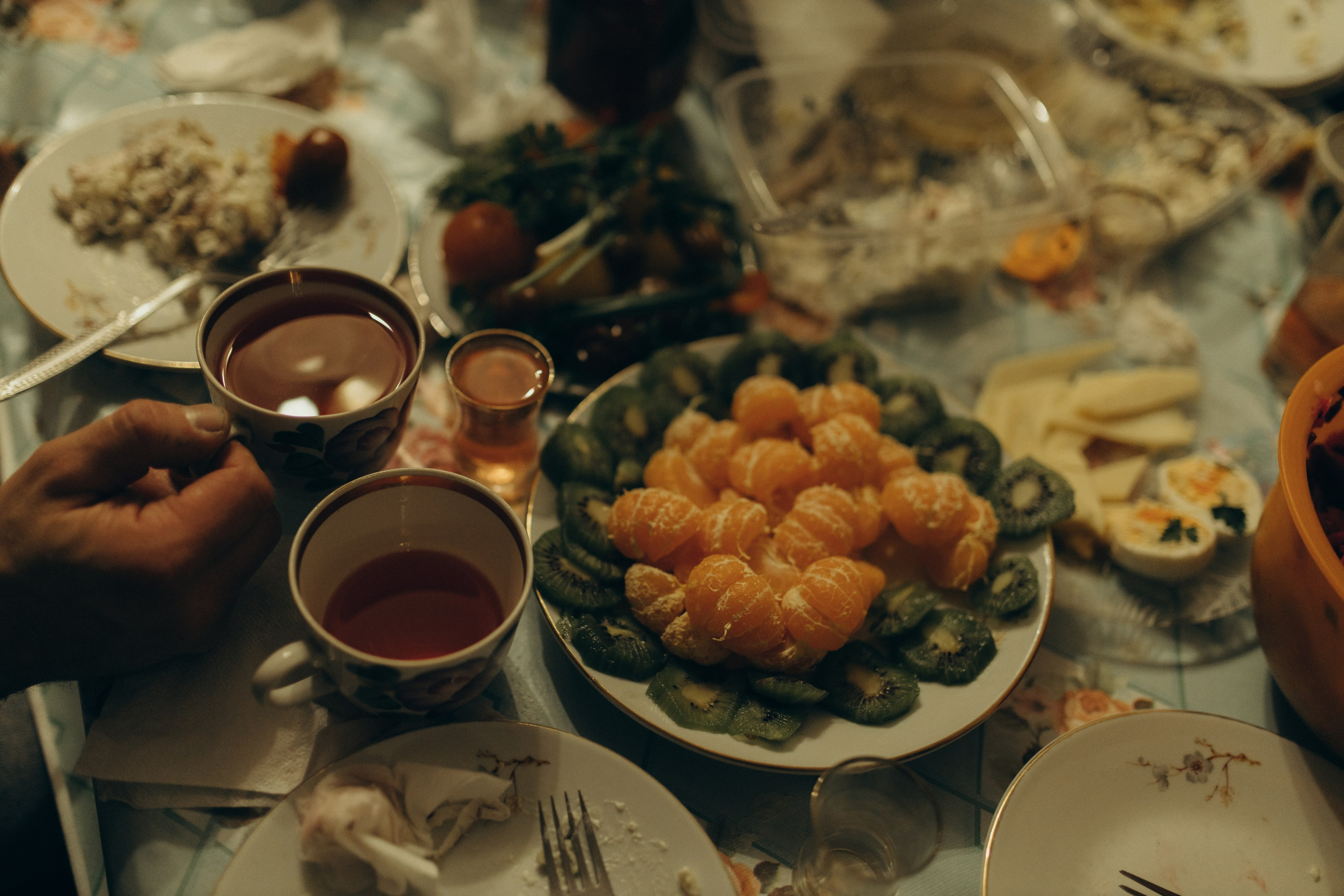 Домашняя история. Meryfotoidea