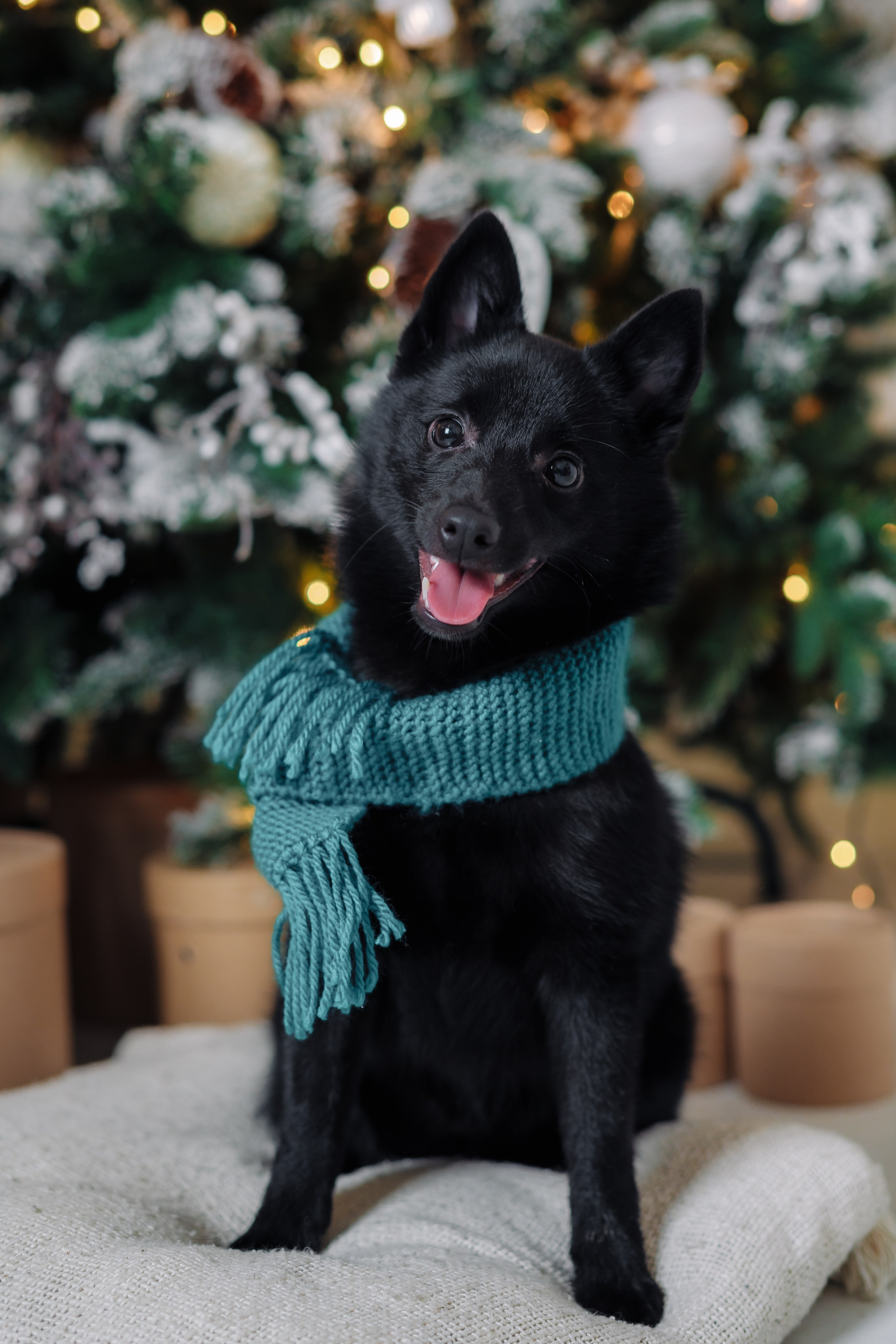 Антон и Александра — портретная съёмка. Иван Кубик — фотограф и видеограф