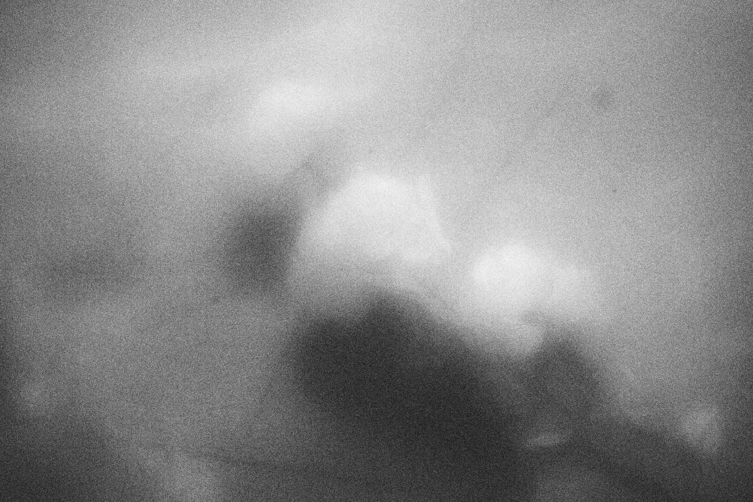 «Видеть. Чувствовать. Сохранять»